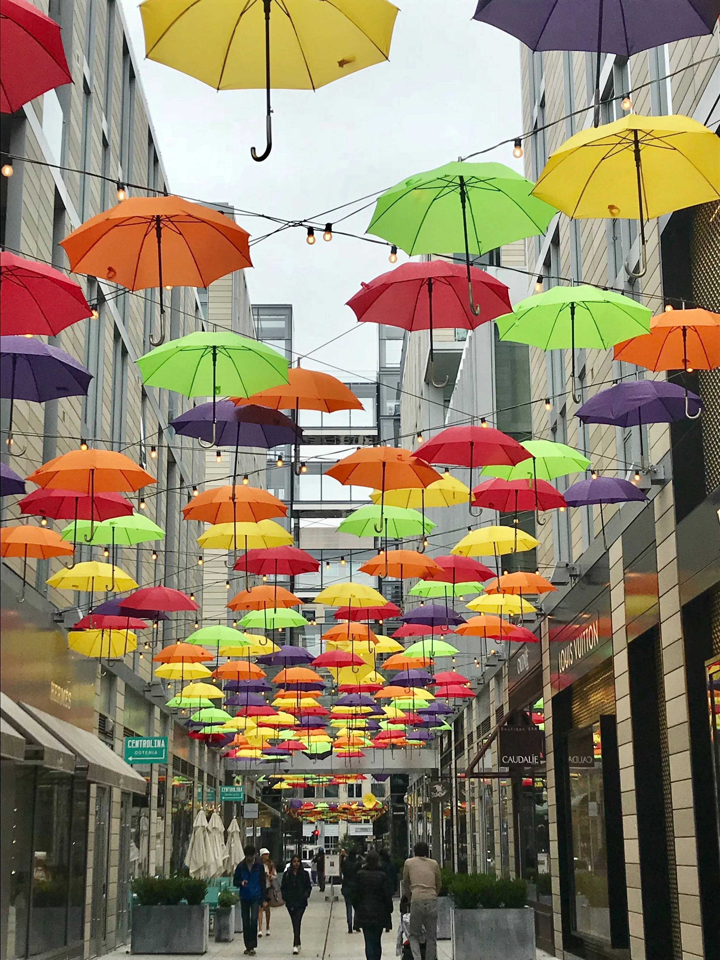 7 Things I Learned This Spring