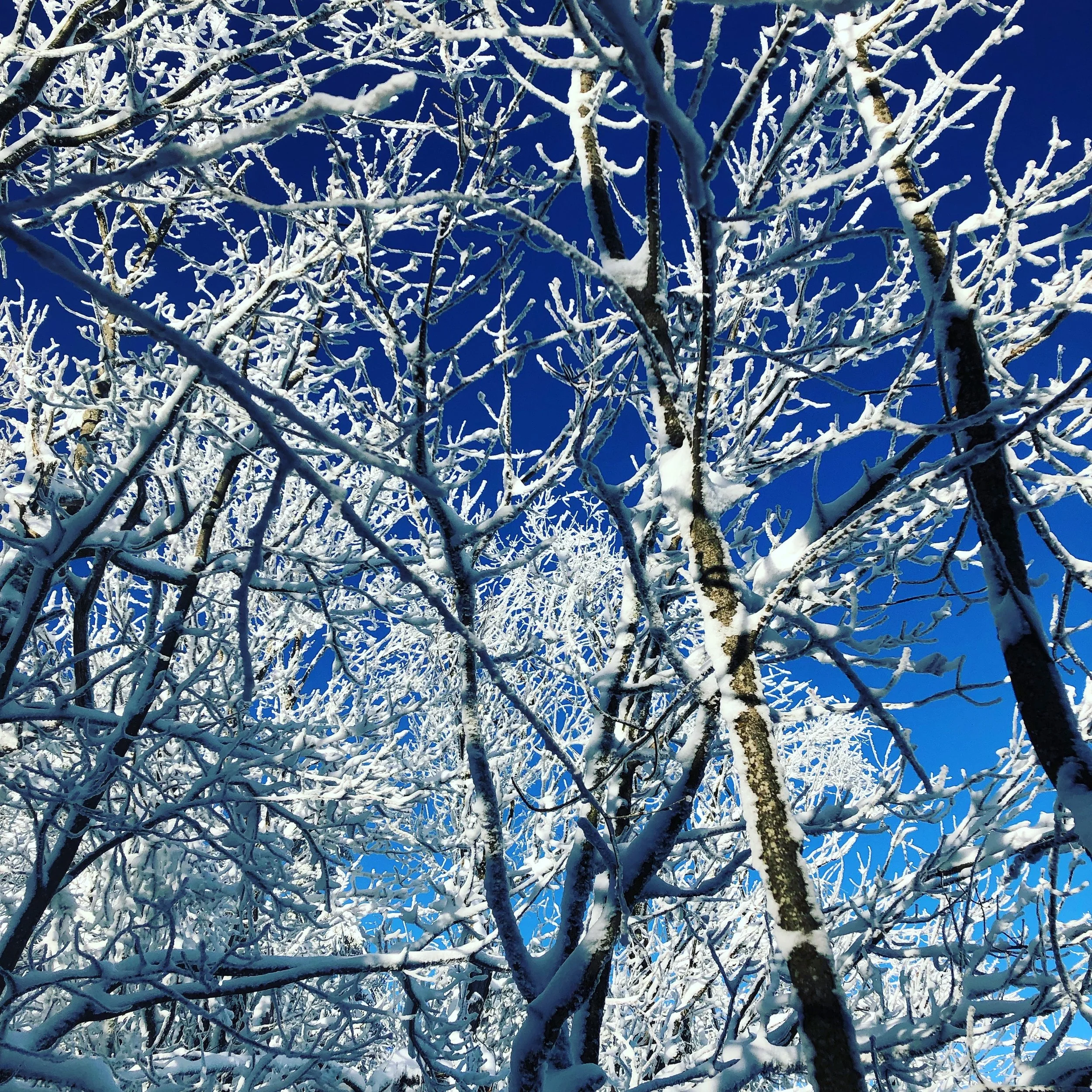 Adventure: Vermont Winter