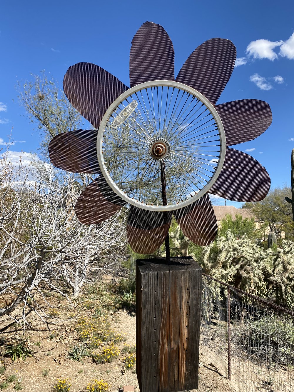 Adventure: Tucson — SpiritScout