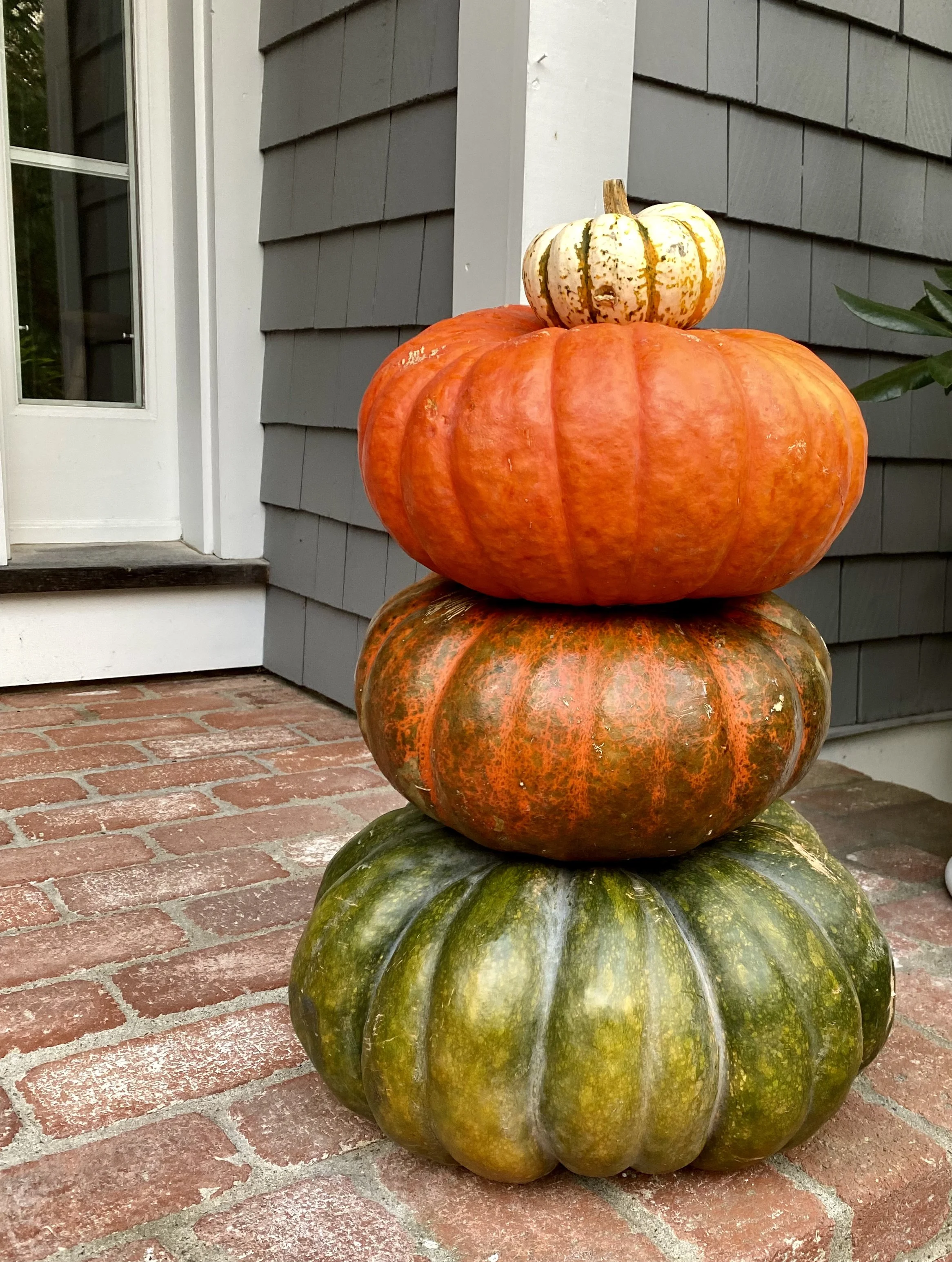 Pumpkin Spice Season