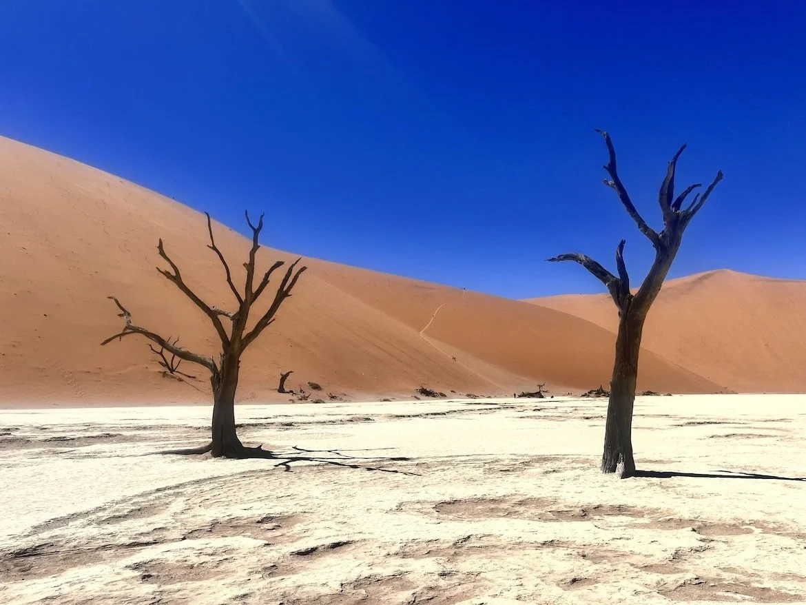 Adventure: Namibia 