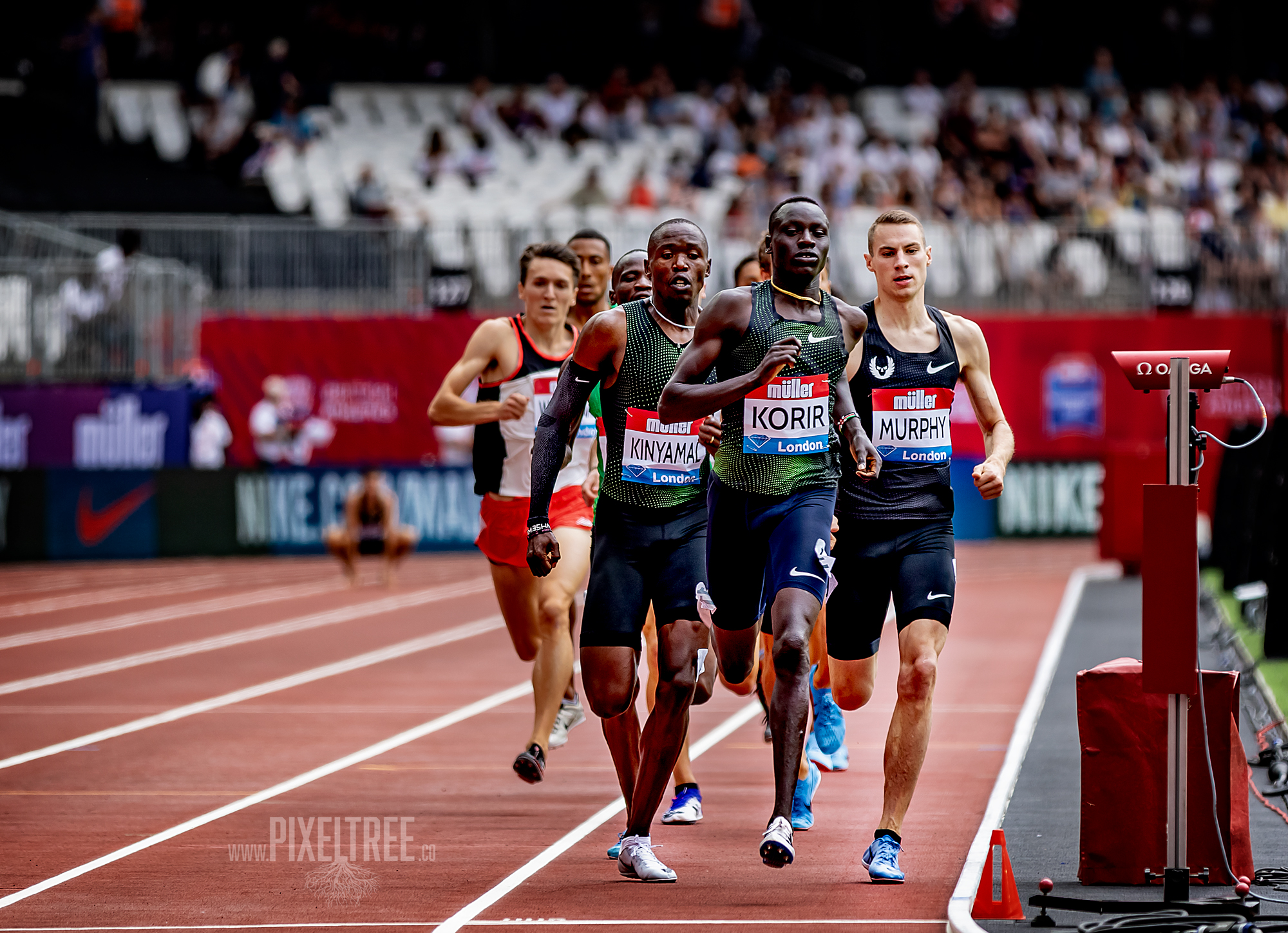 Mens 800m