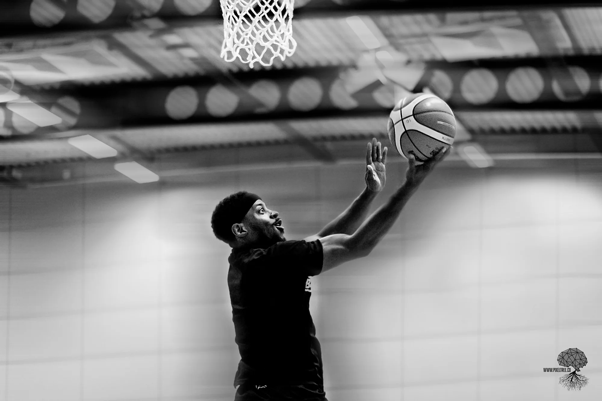 Surrey Scorchers 83 vs 93 Sheffield Sharks