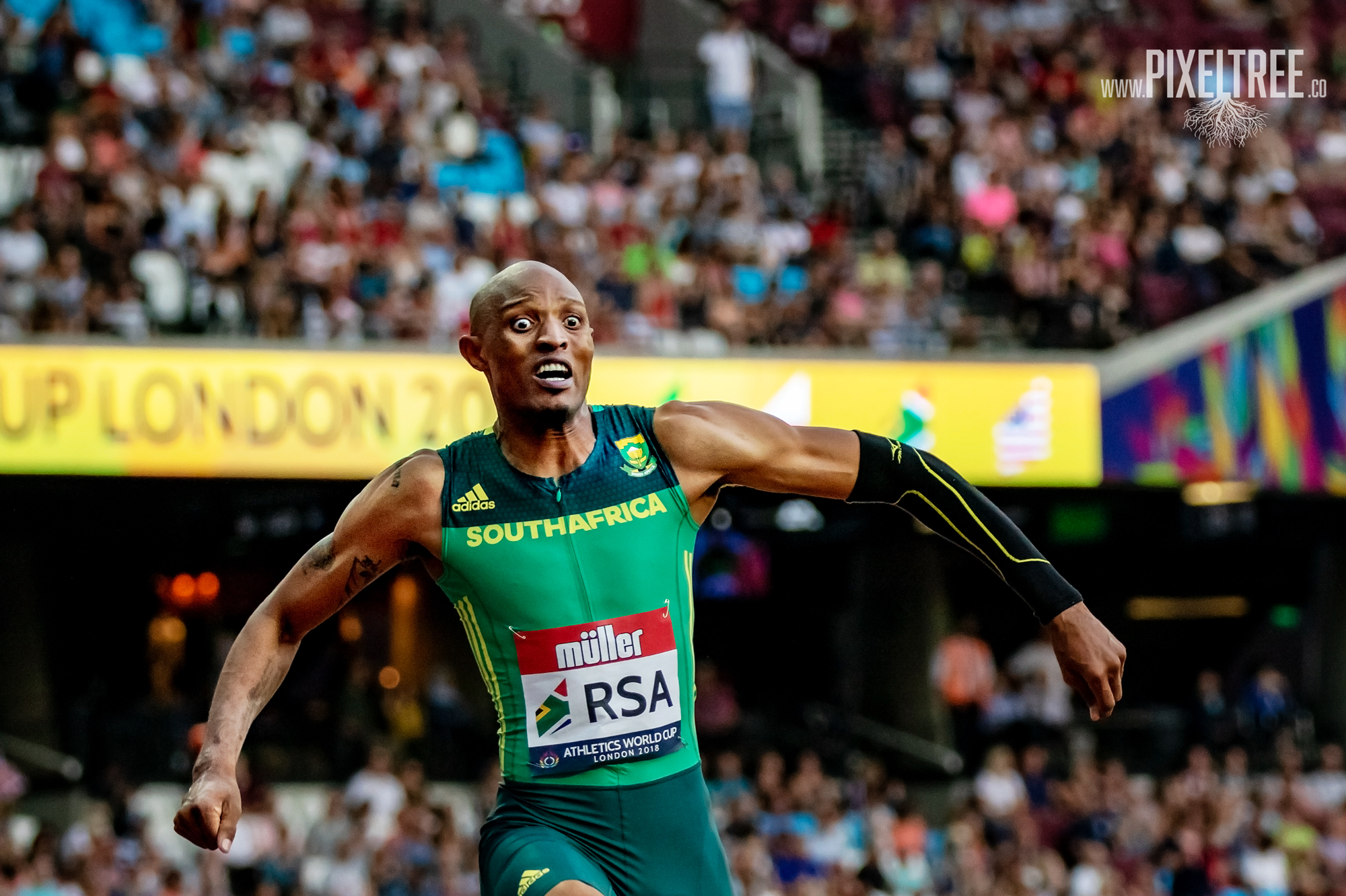Godfrey Mokoena