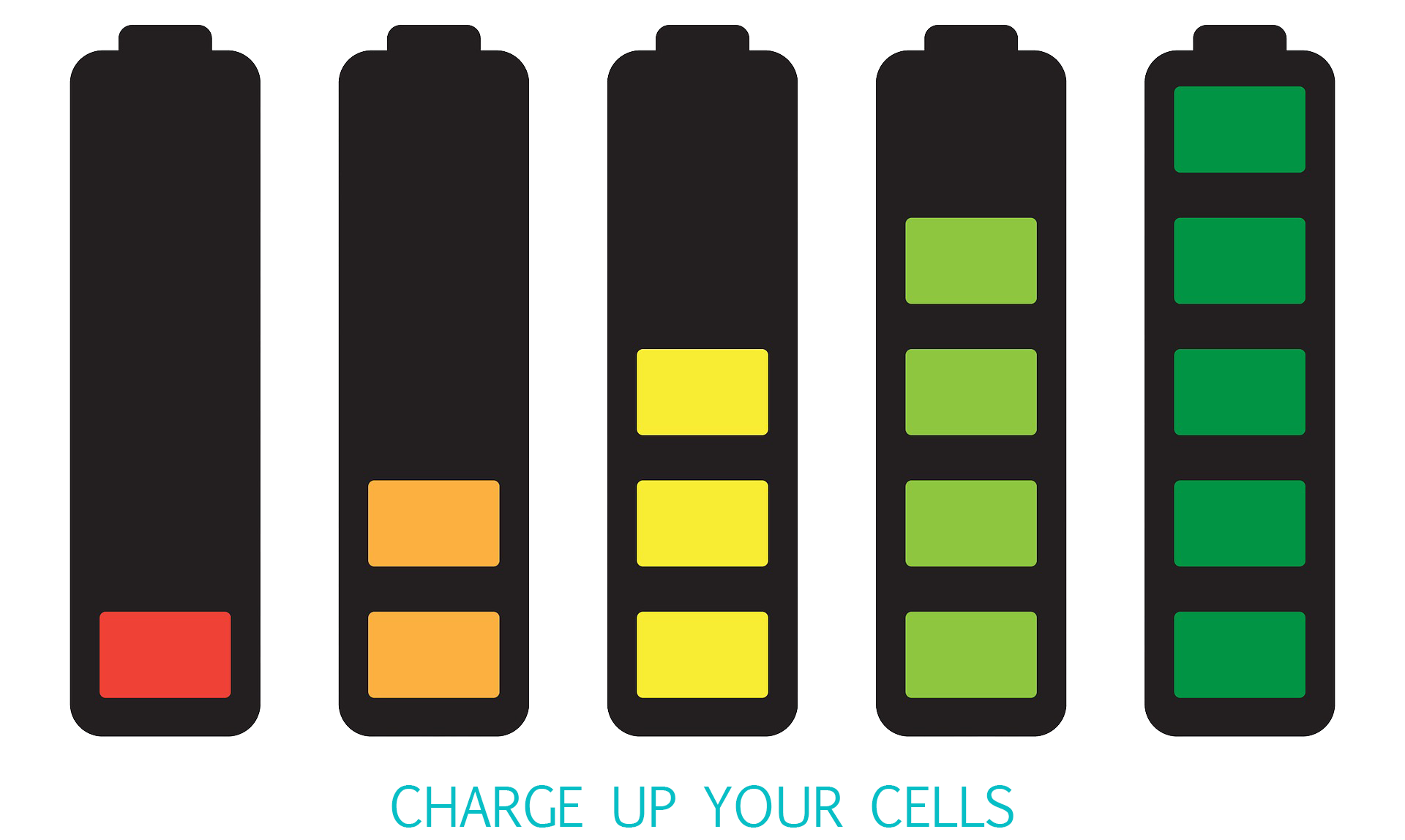Charge up your cells.png