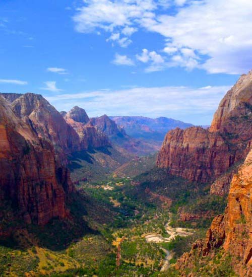 are dogs allowed in angels park zion national park