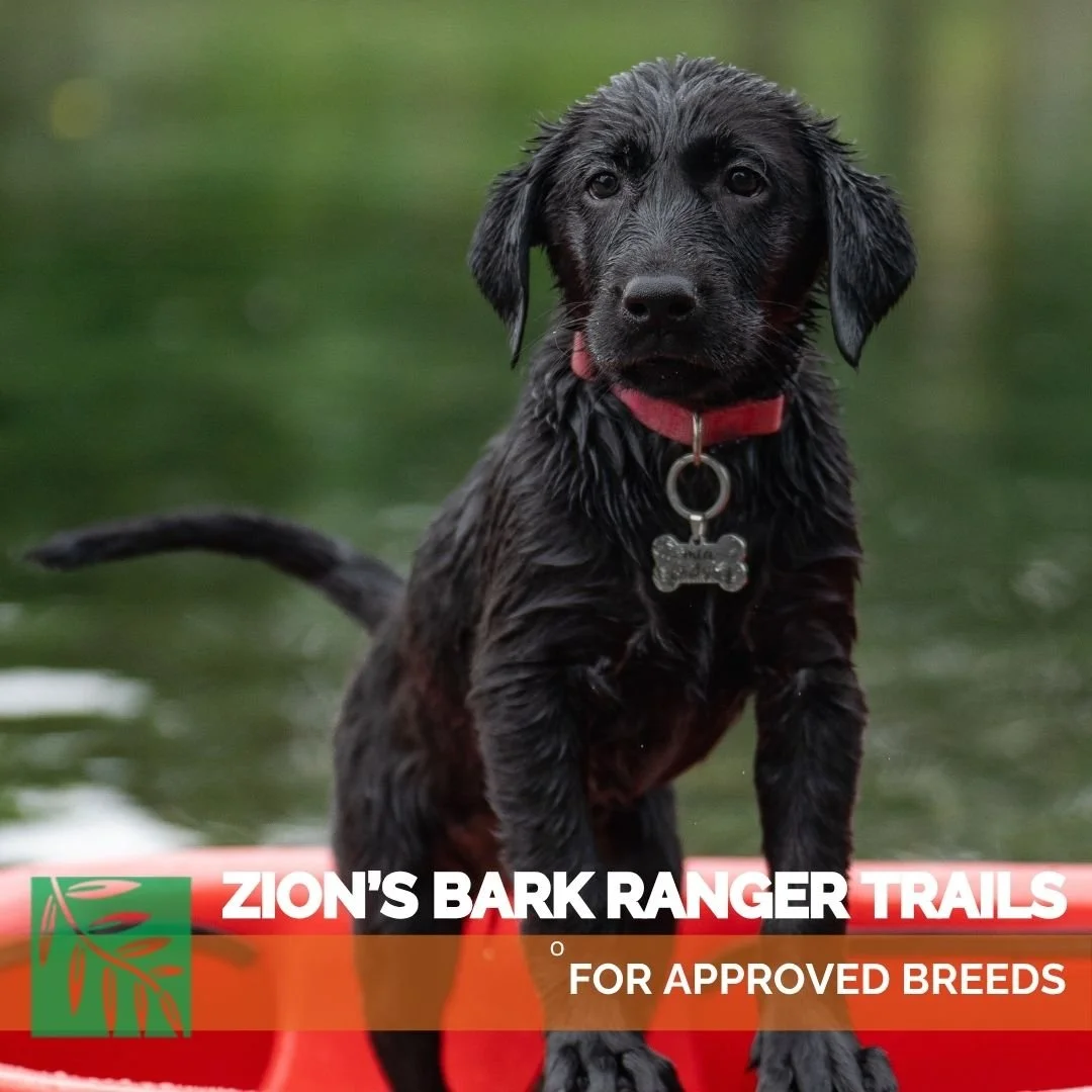 Zion’s Best BARK Ranger Trails for Approved Breeds