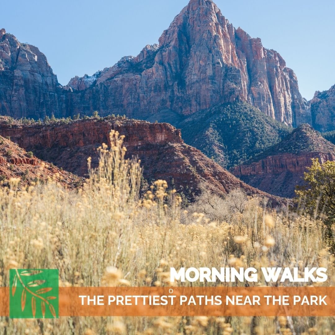 Morning Walks: The Prettiest Paths Near the Park
