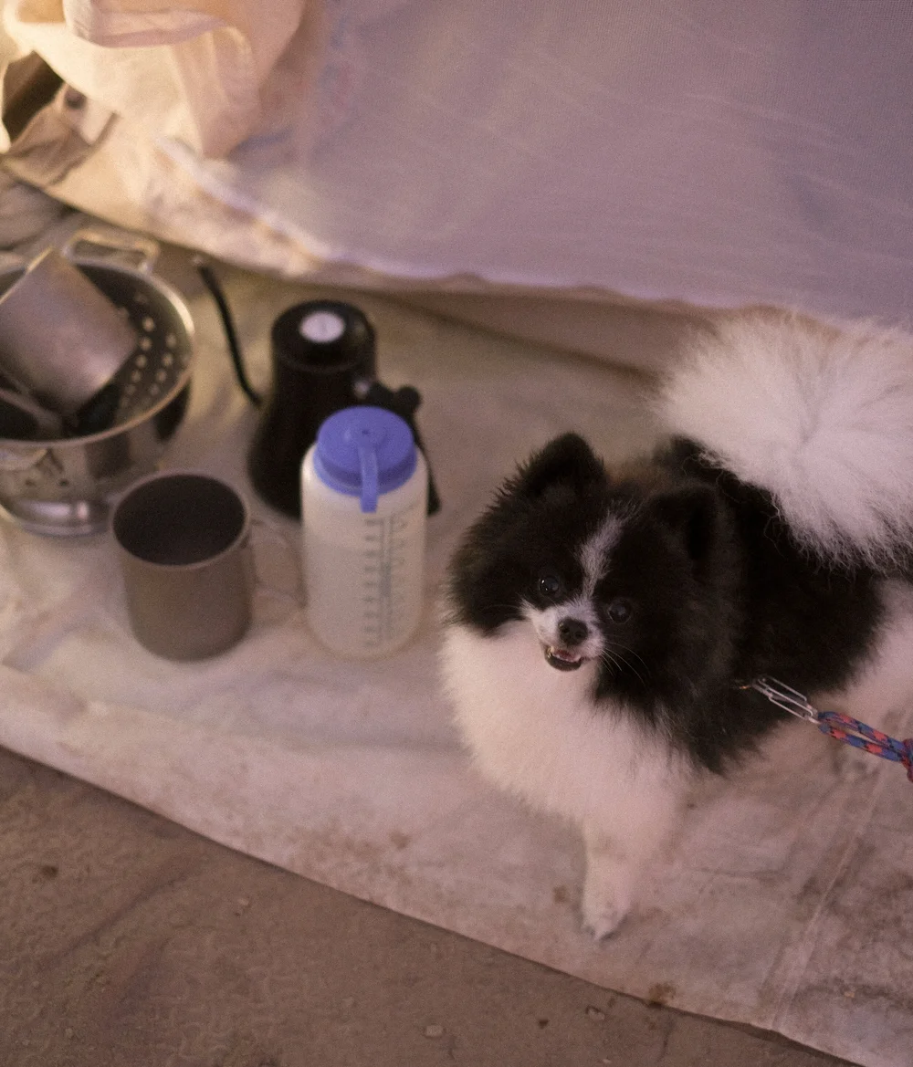 DSCF9181.jpg