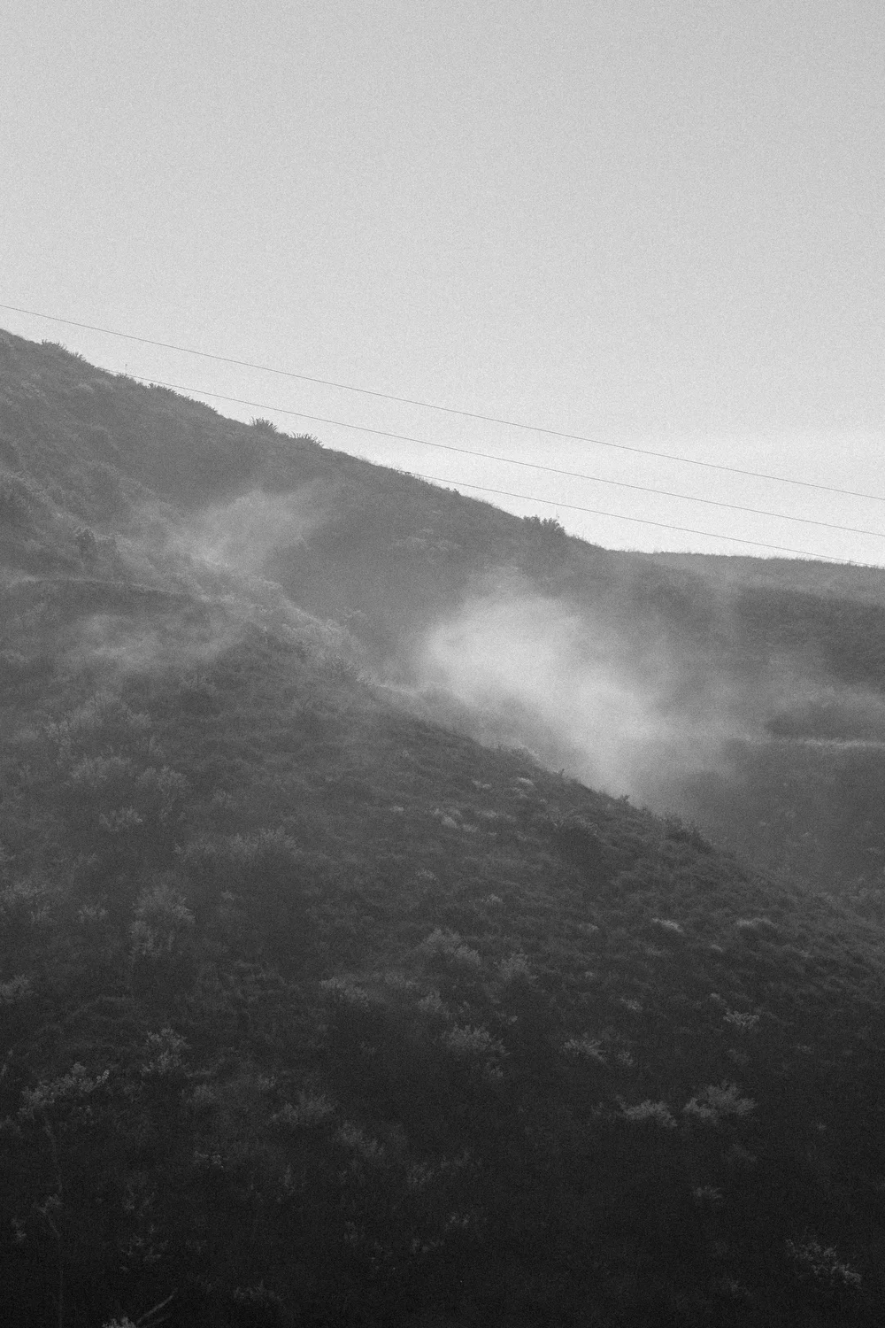 DSCF9356.jpg