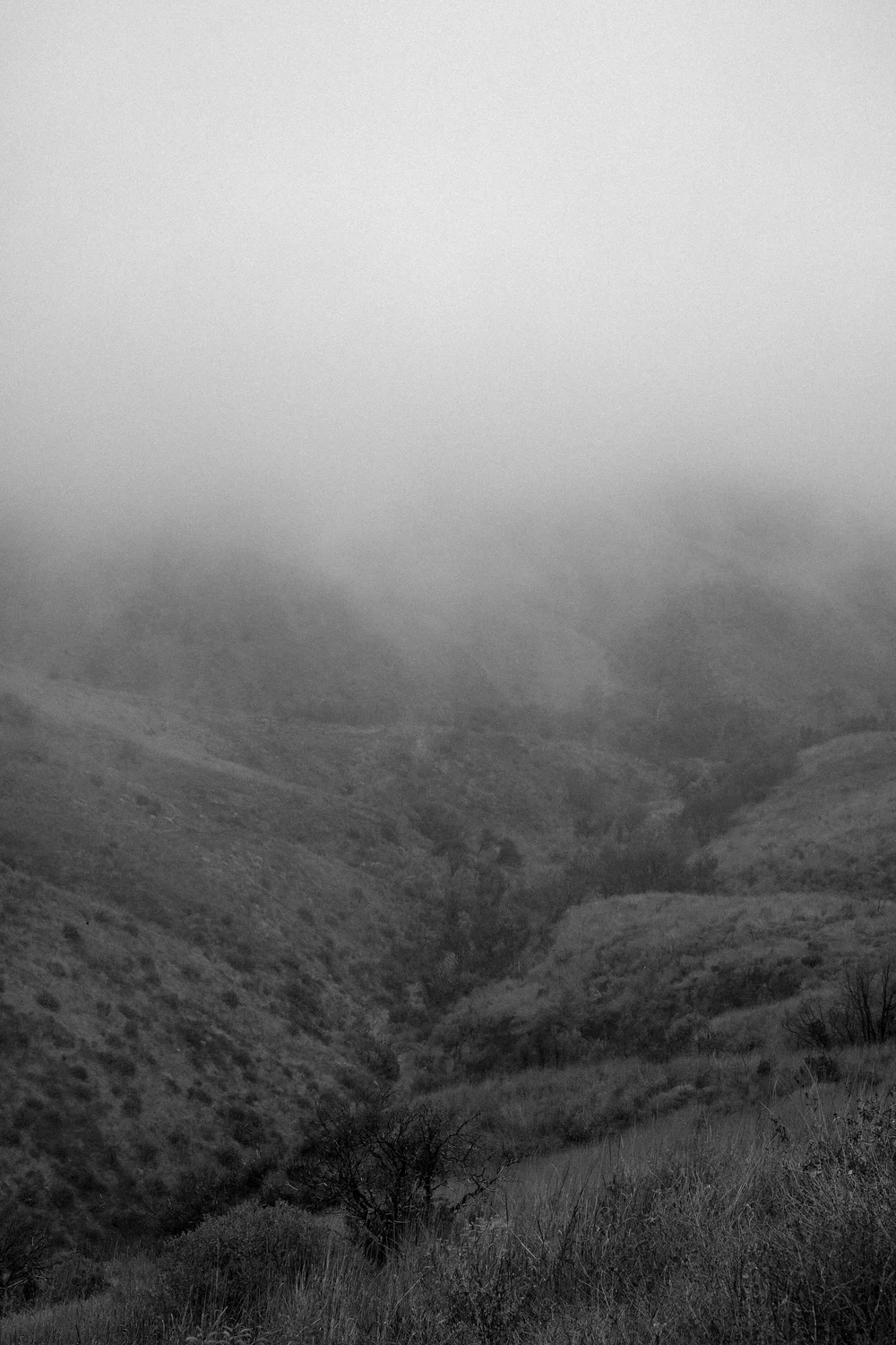 DSCF9359.jpg