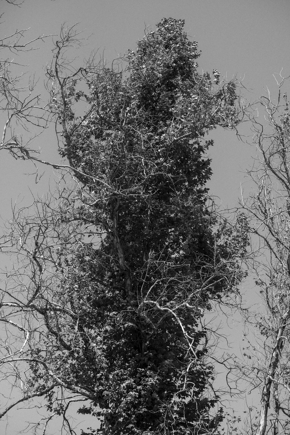 DSCF9407.jpg
