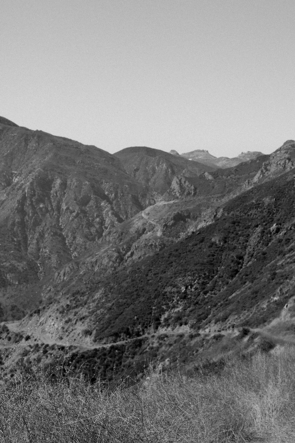 DSCF9465.jpg