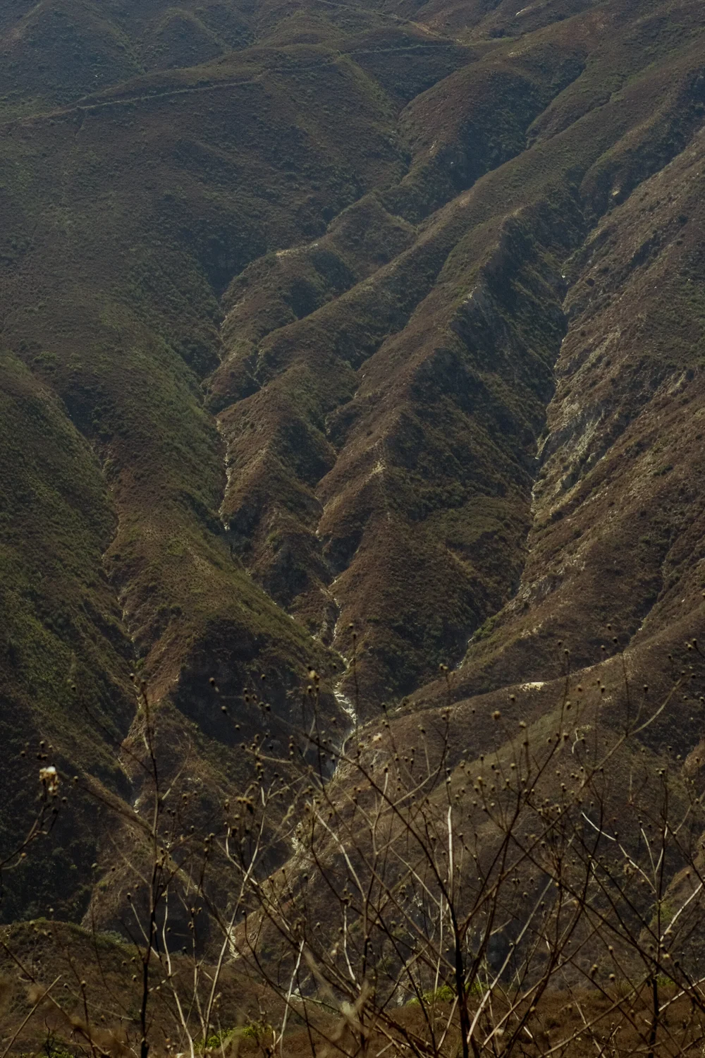 DSCF9472.jpg