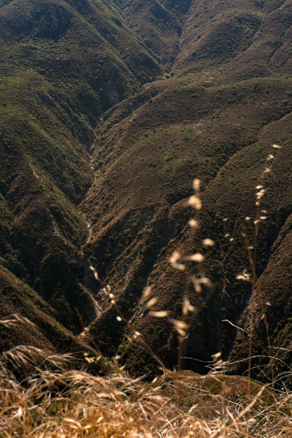 DSCF9484.jpg