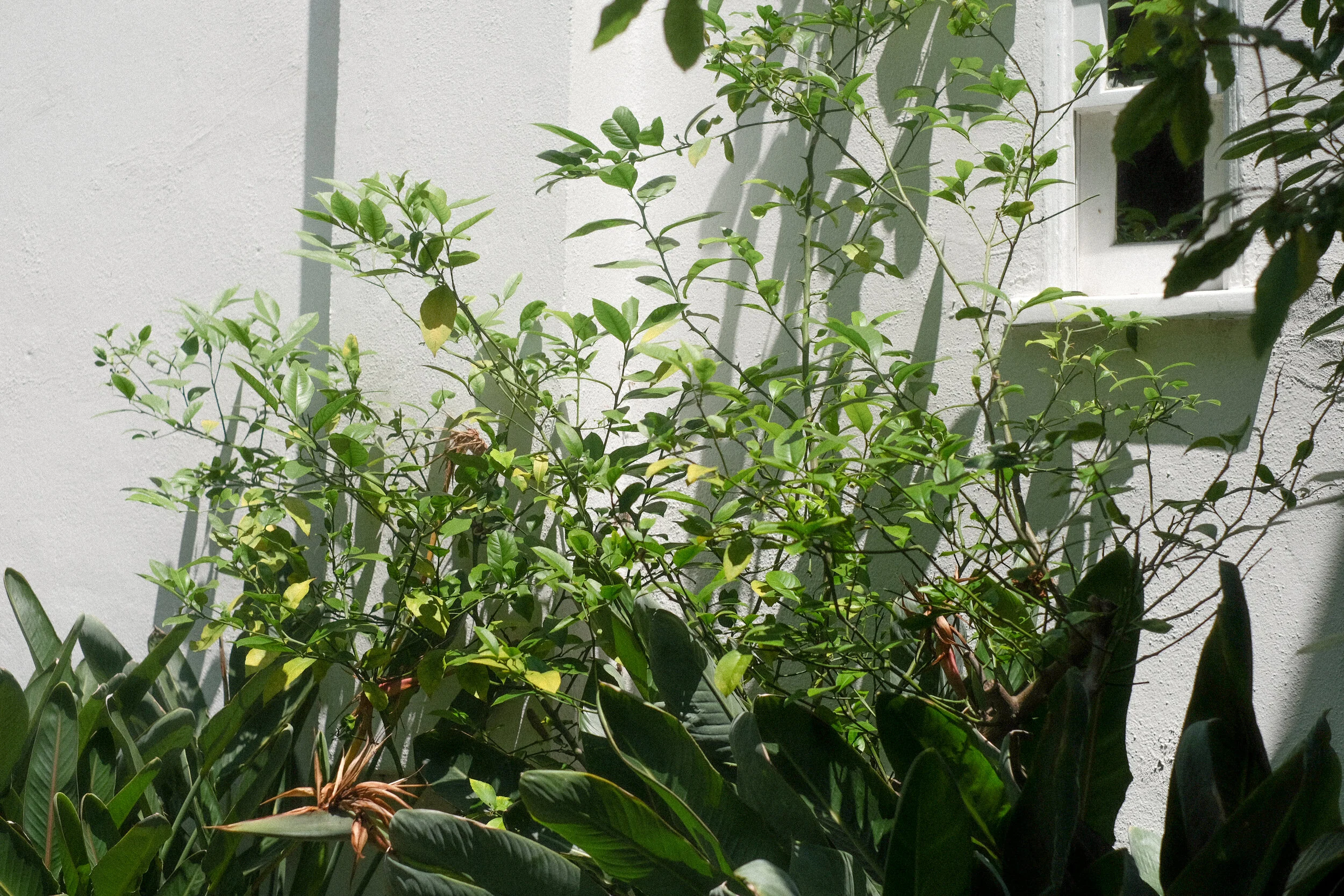 DSCF8630.jpg