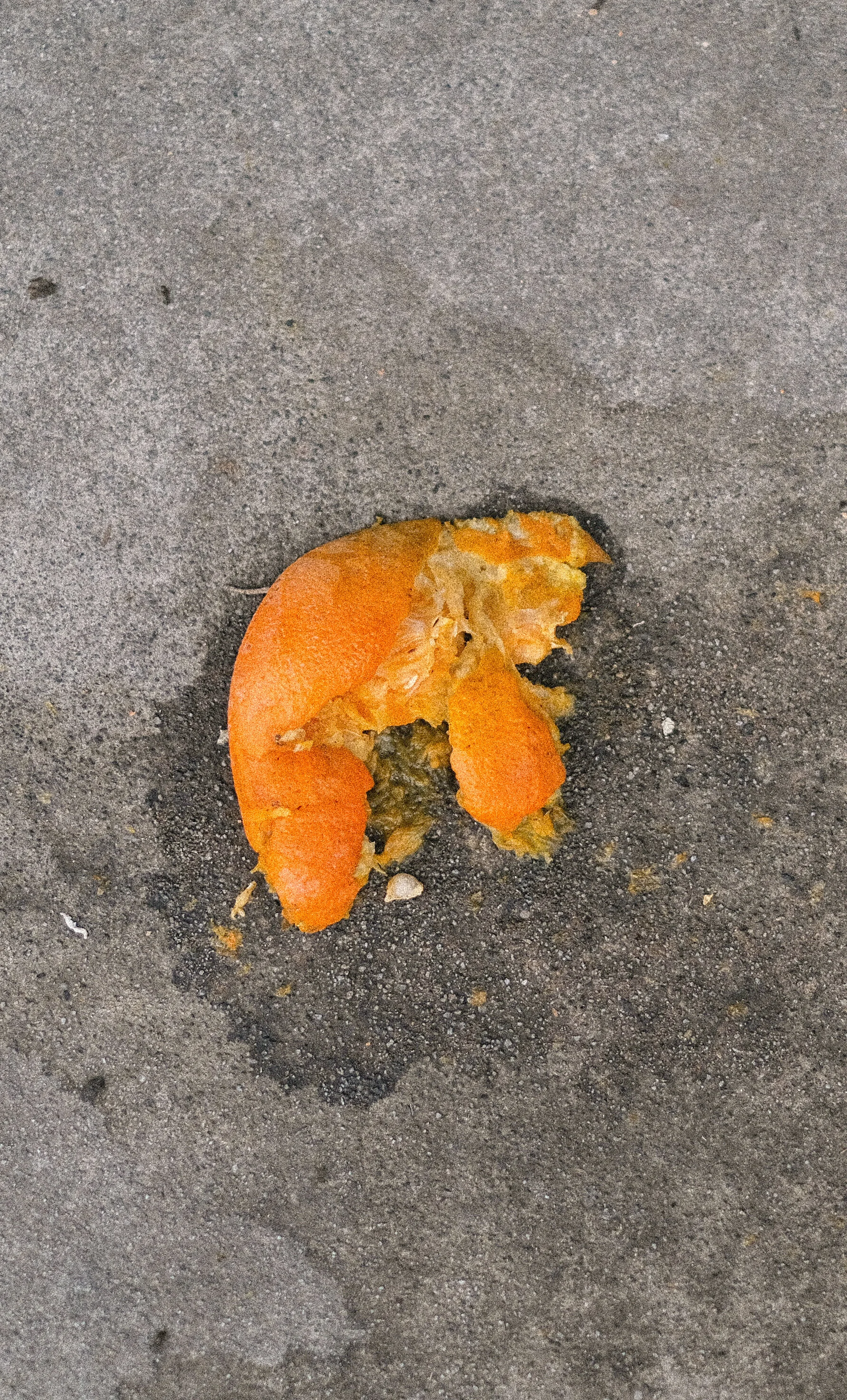 DSCF7507.jpg