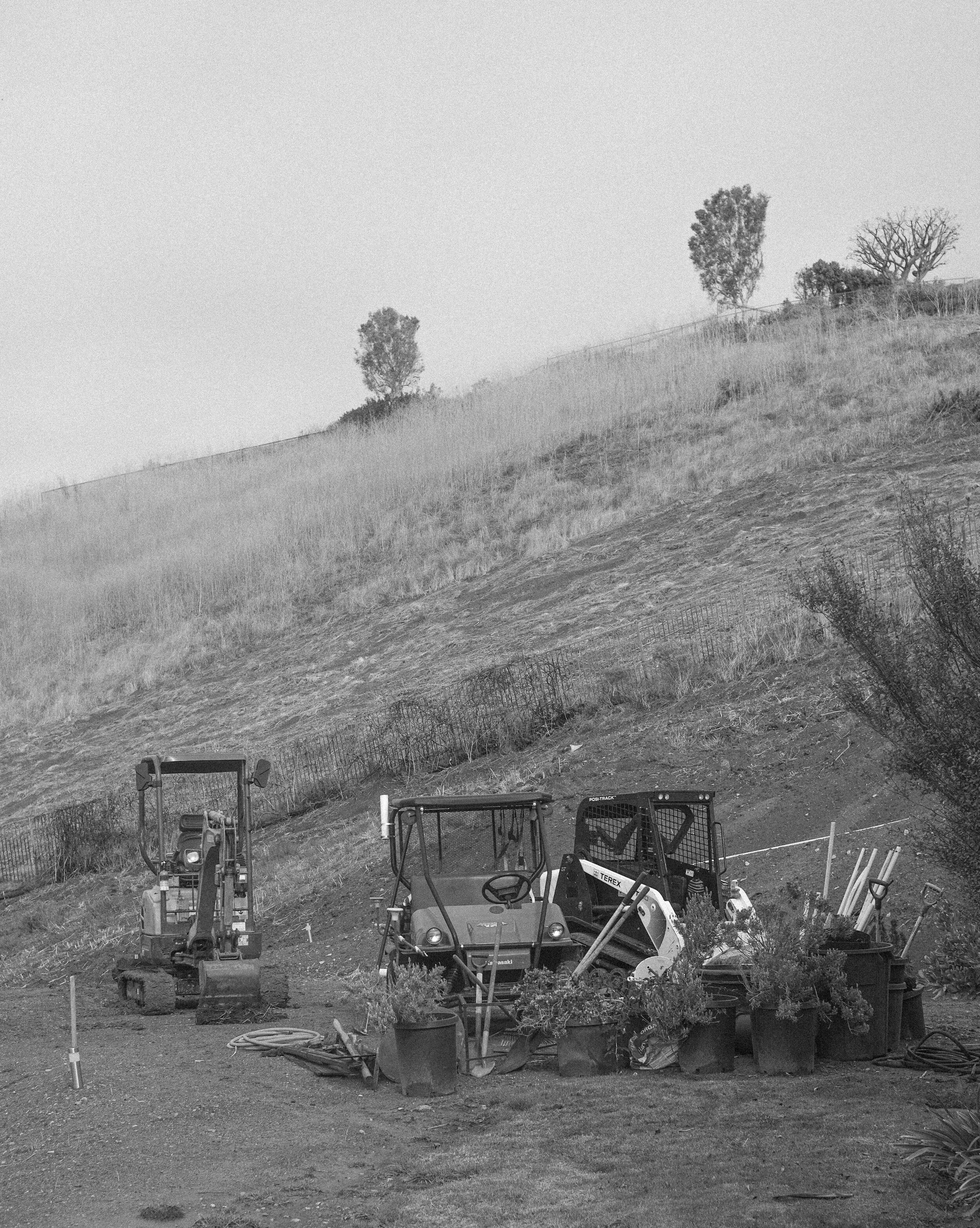 DSCF7521.jpg