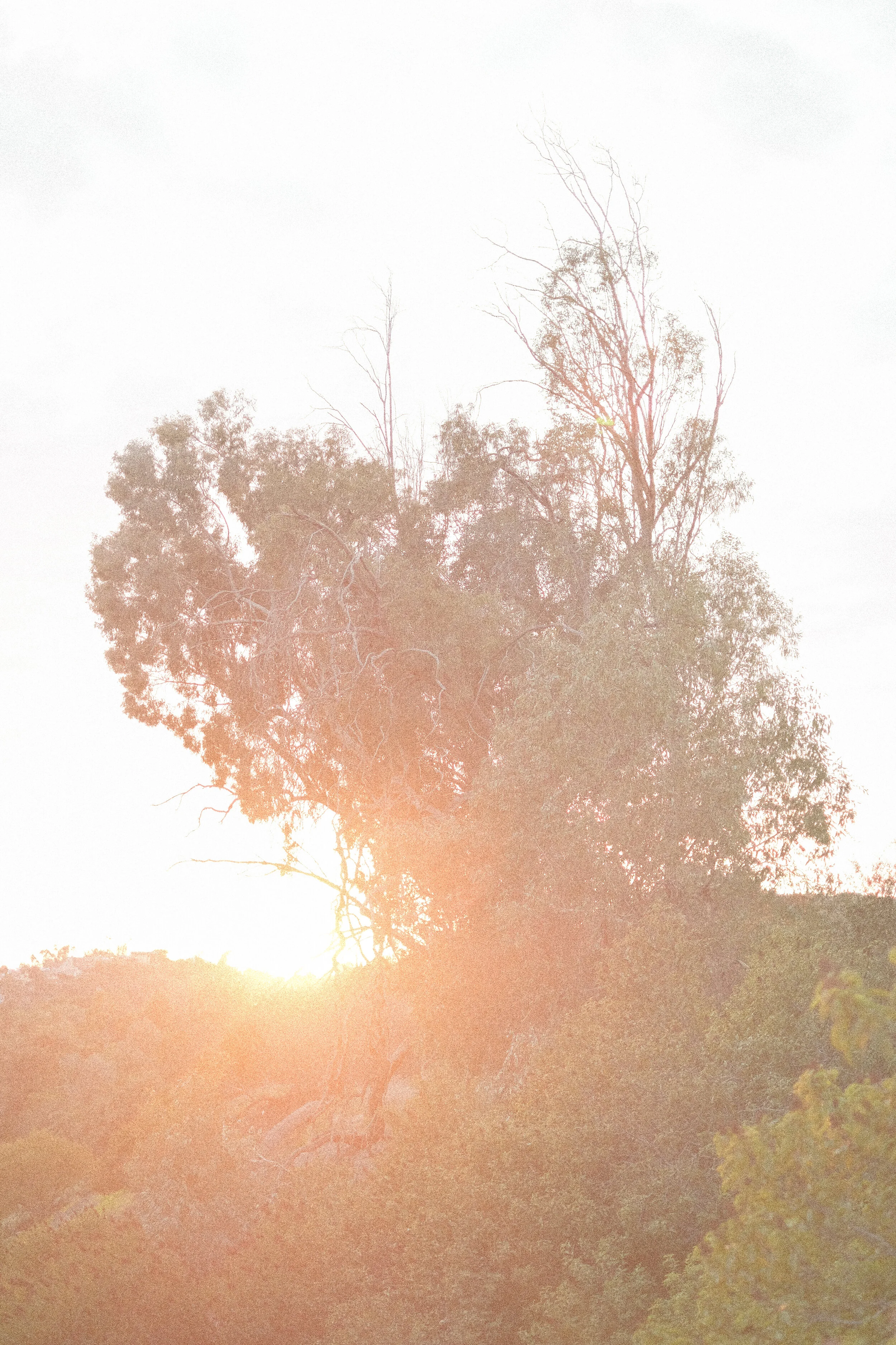 DSCF8337.jpg