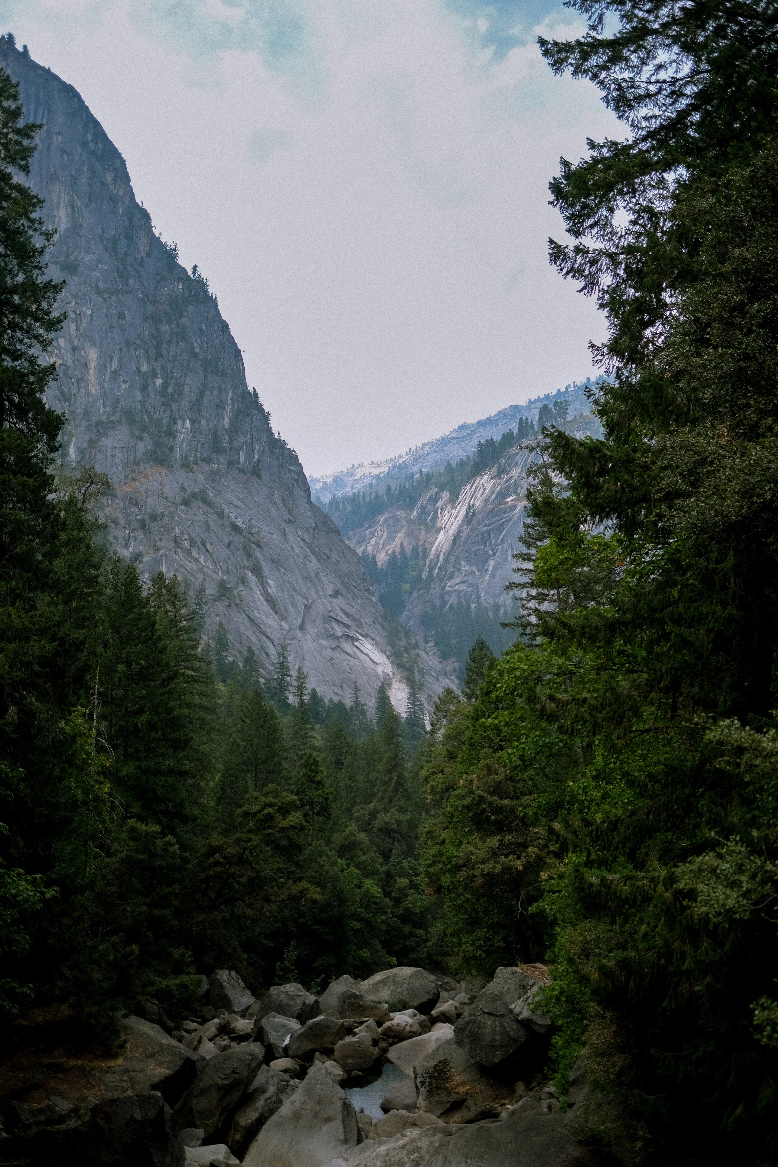 DSCF9988.jpg