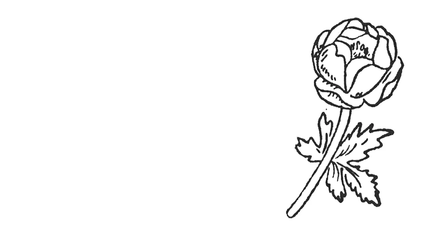 homepage-flowers_0000s_0001_half.jpg