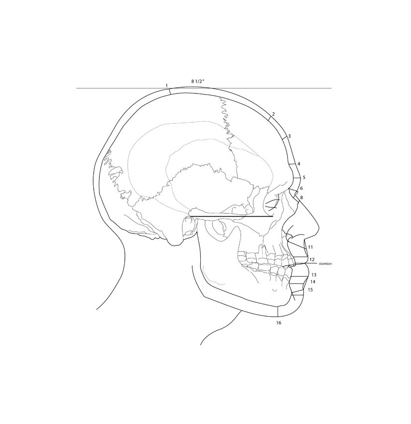 Facial Reconstruction Calculations