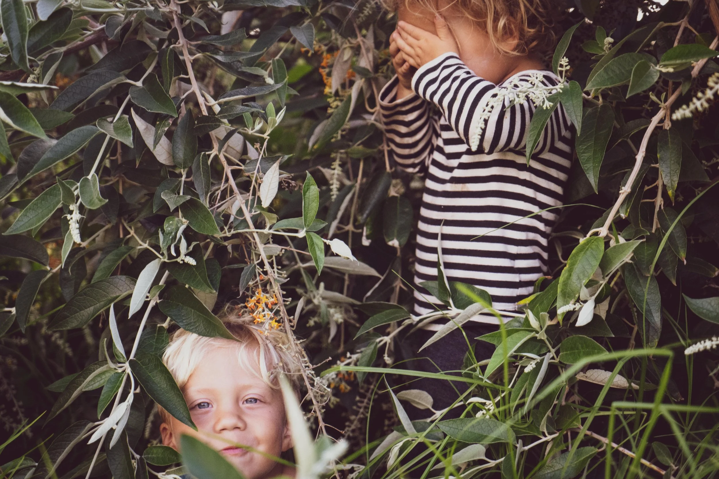 untitled-86.jpg