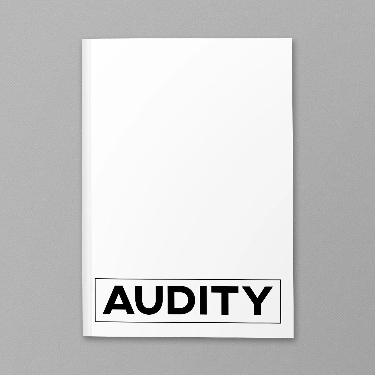 audity+cover.jpg