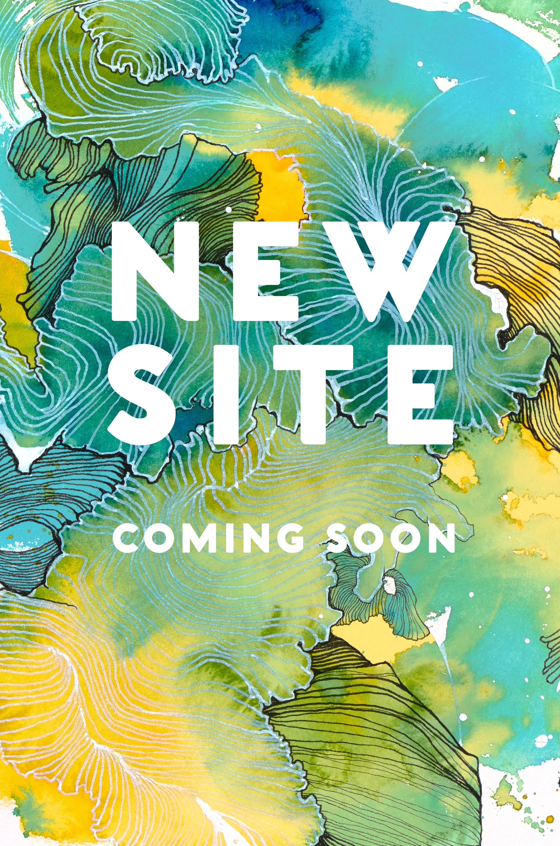 NEWSITE.jpg