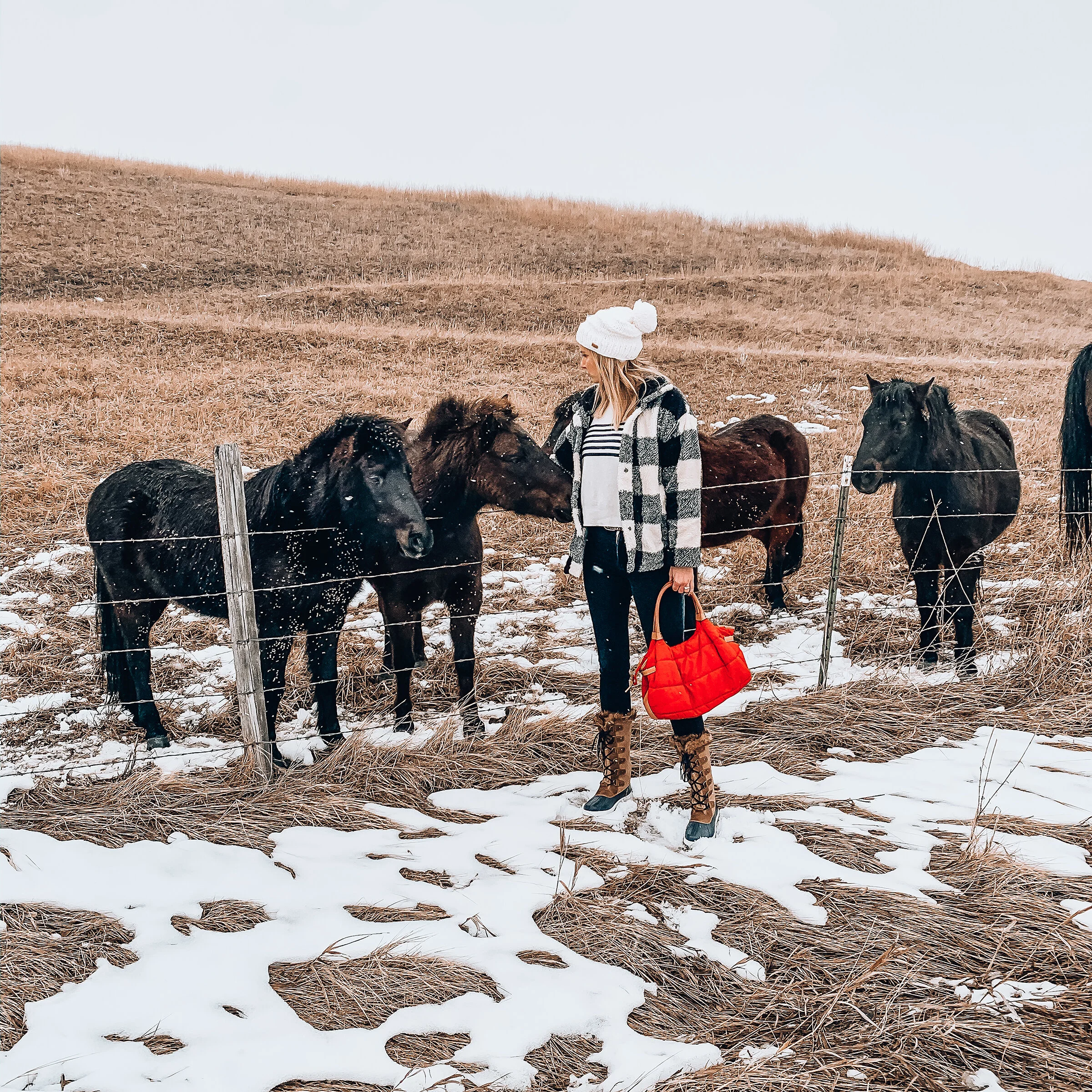 Travel Guide - Bozeman | Winter