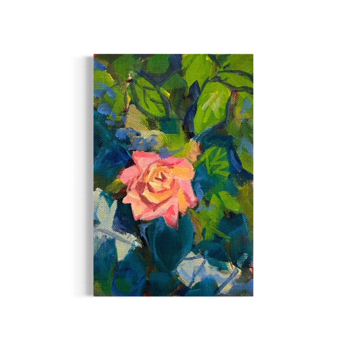 Day 43/100: A Peace Rose from the garden 
🪏🌹 🪴

#100daychallenge #mollyalexart #originalartforsale #rose #art