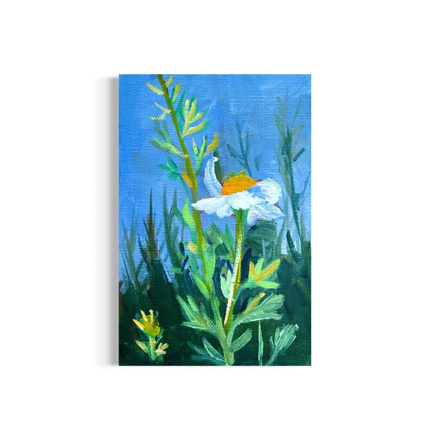 Day 62/100: Poppy (I think) 🤔💭 

#flowers #art #mollyalexart #originalartforsale