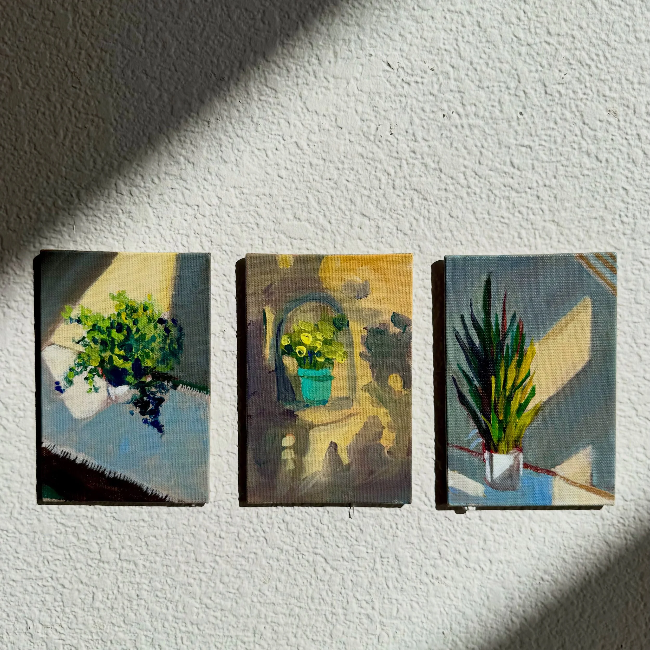 These three 🤩🙌🏼 Studies in shadows and light. Available individually as well on mollyalex.com (link in bio) 

Which one&rsquo;s your favorite? 

#originalartforsale #plantpainting #mollyalexart