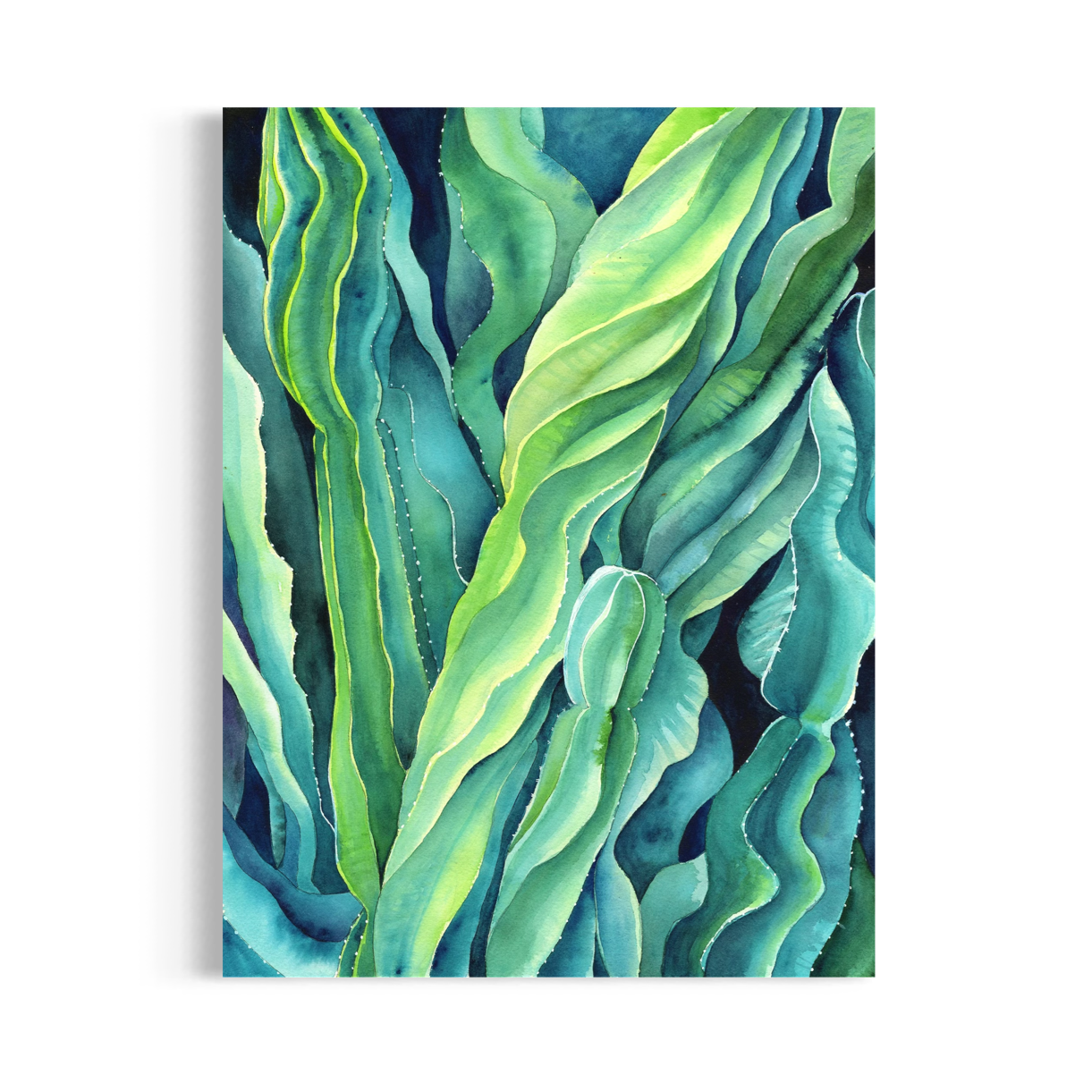 EUPHORBIA _ONWHITE.png