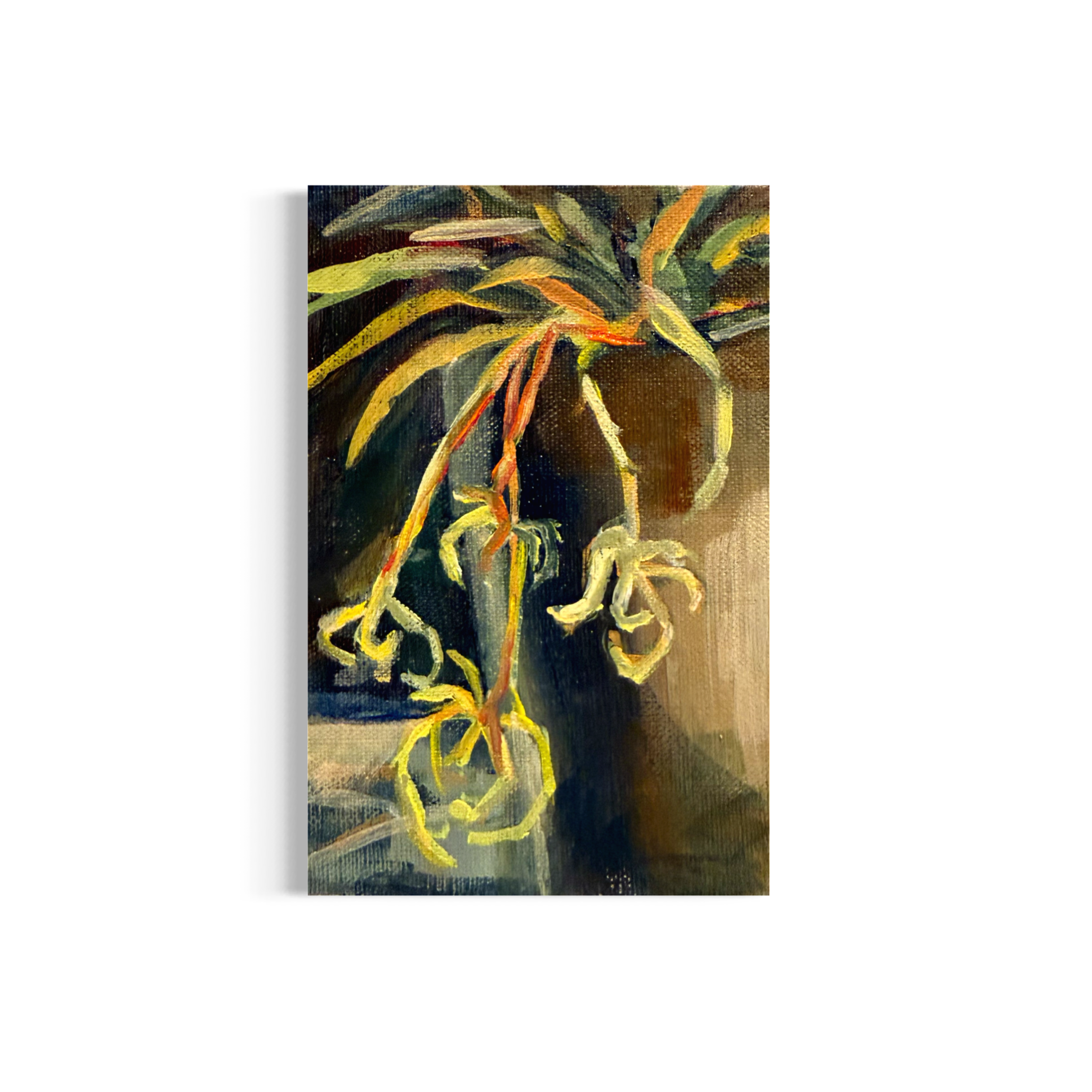 4/100: Spider Plant | Original Acrylic Painting on linen board, 4x6"