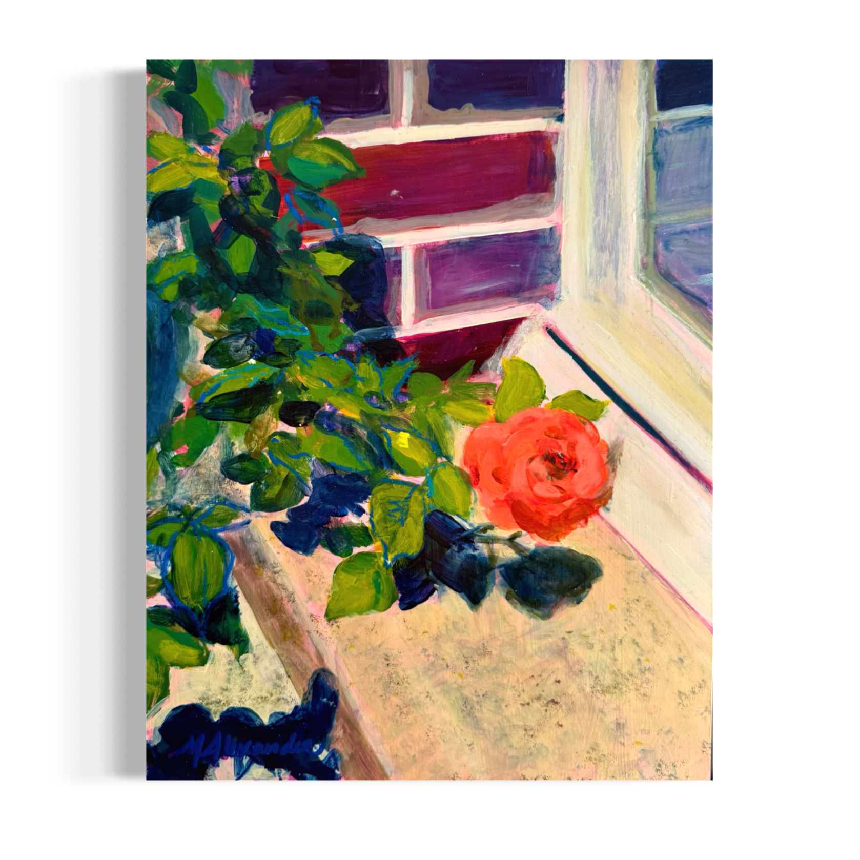 'The Bloom' original acrylic and oil pastel on cradled wood panel rose windowsell painting by Molly Alexander, 11x14 inches, Carlsbad CA artist