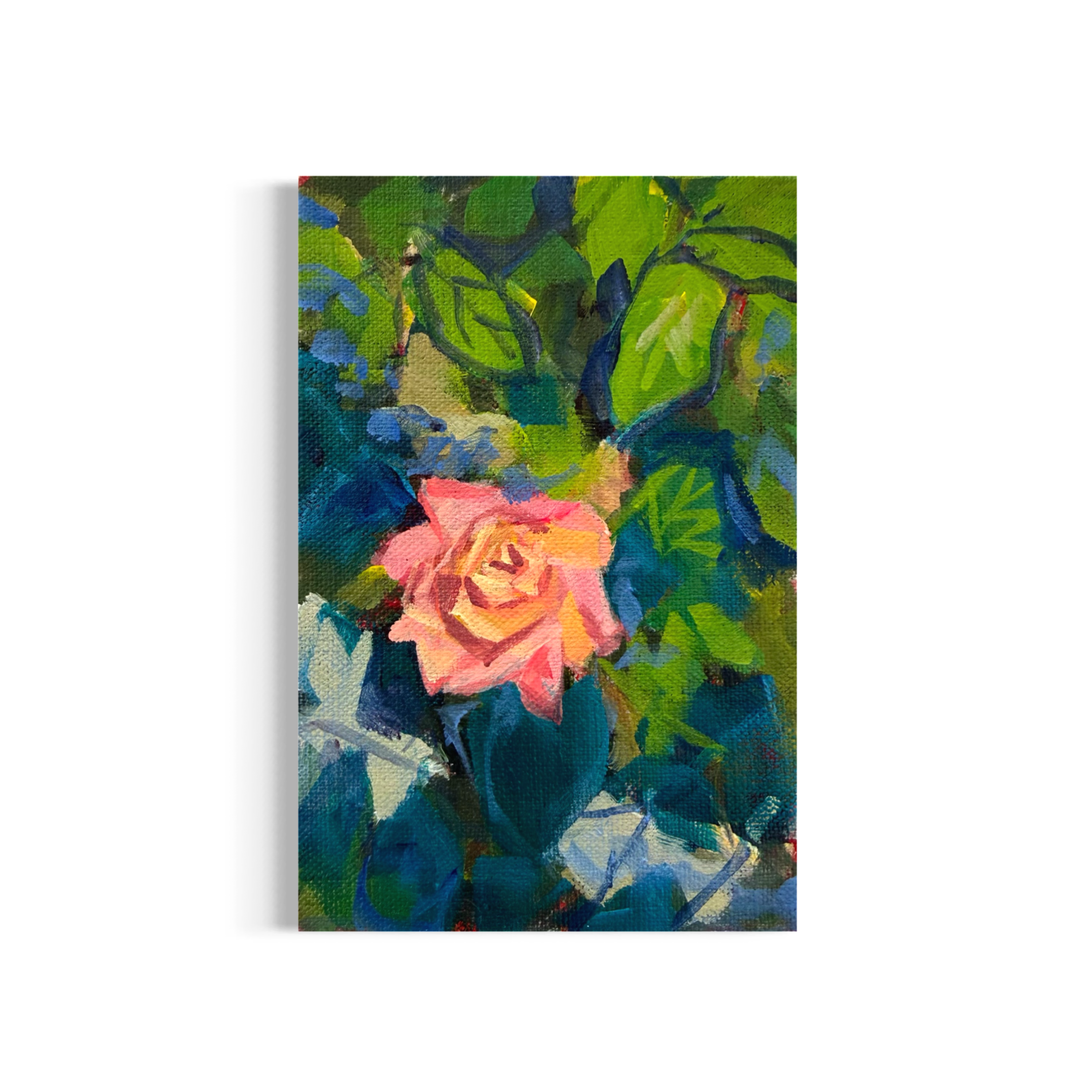 43/100: Garden Rose | Original Acrylic Painting on linen board, 4x6"