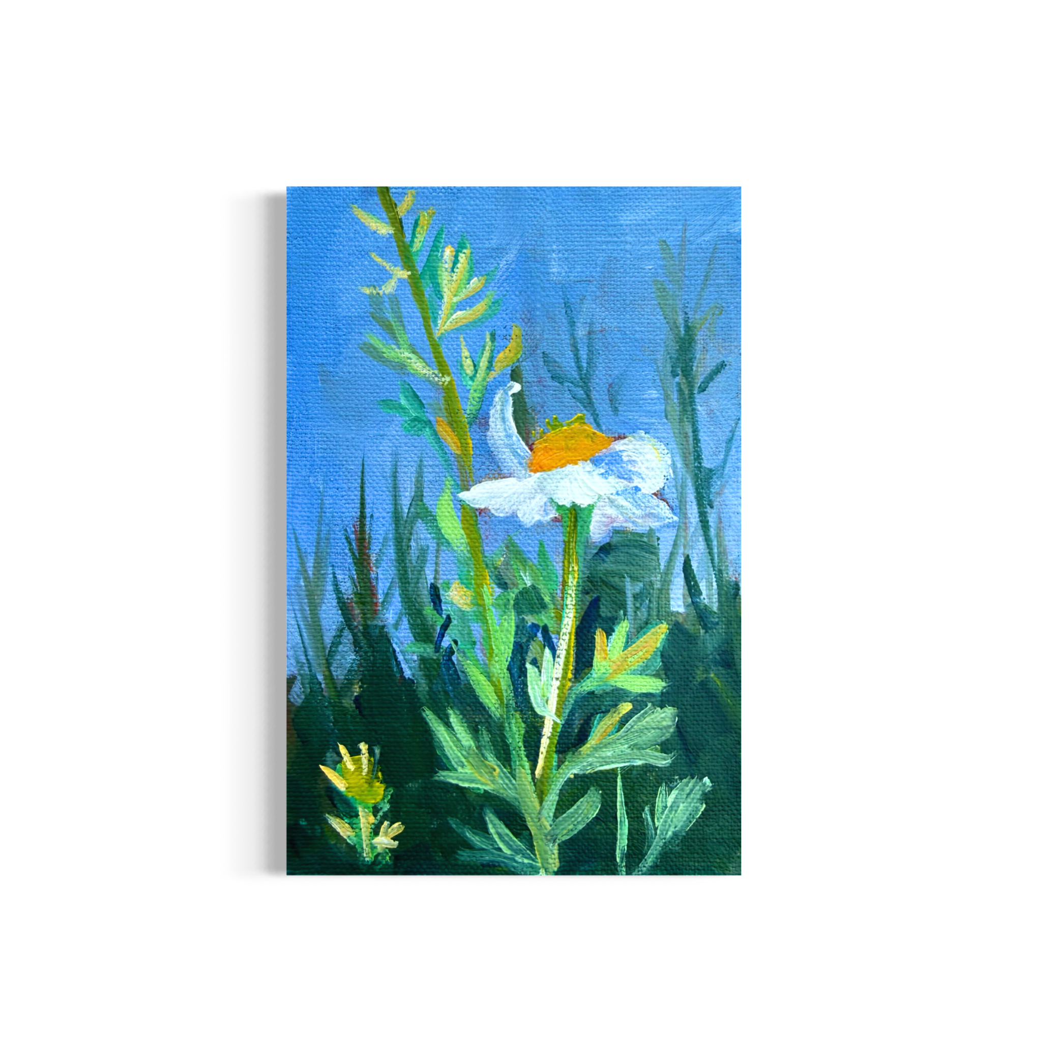 62/100: White Poppy | Original Acrylic Painting on linen board, 4x6"