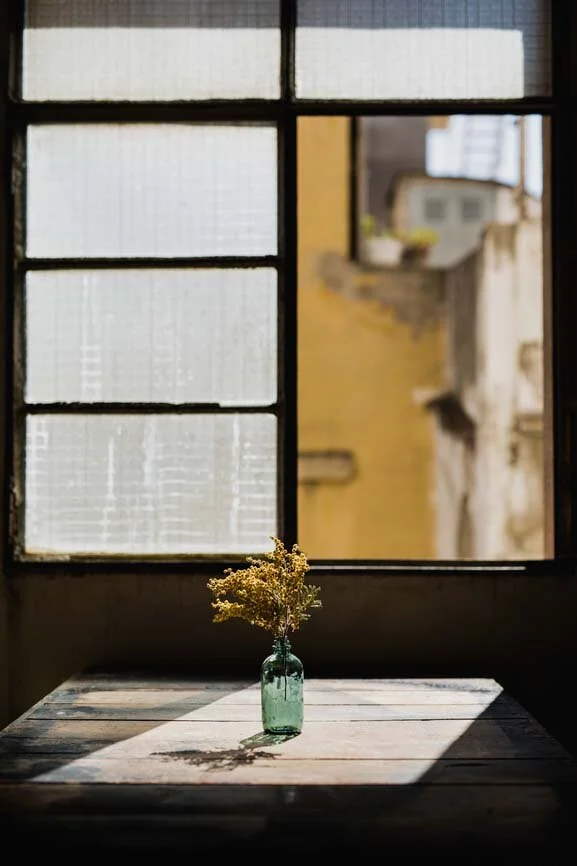 Grow your Window of Opportunity