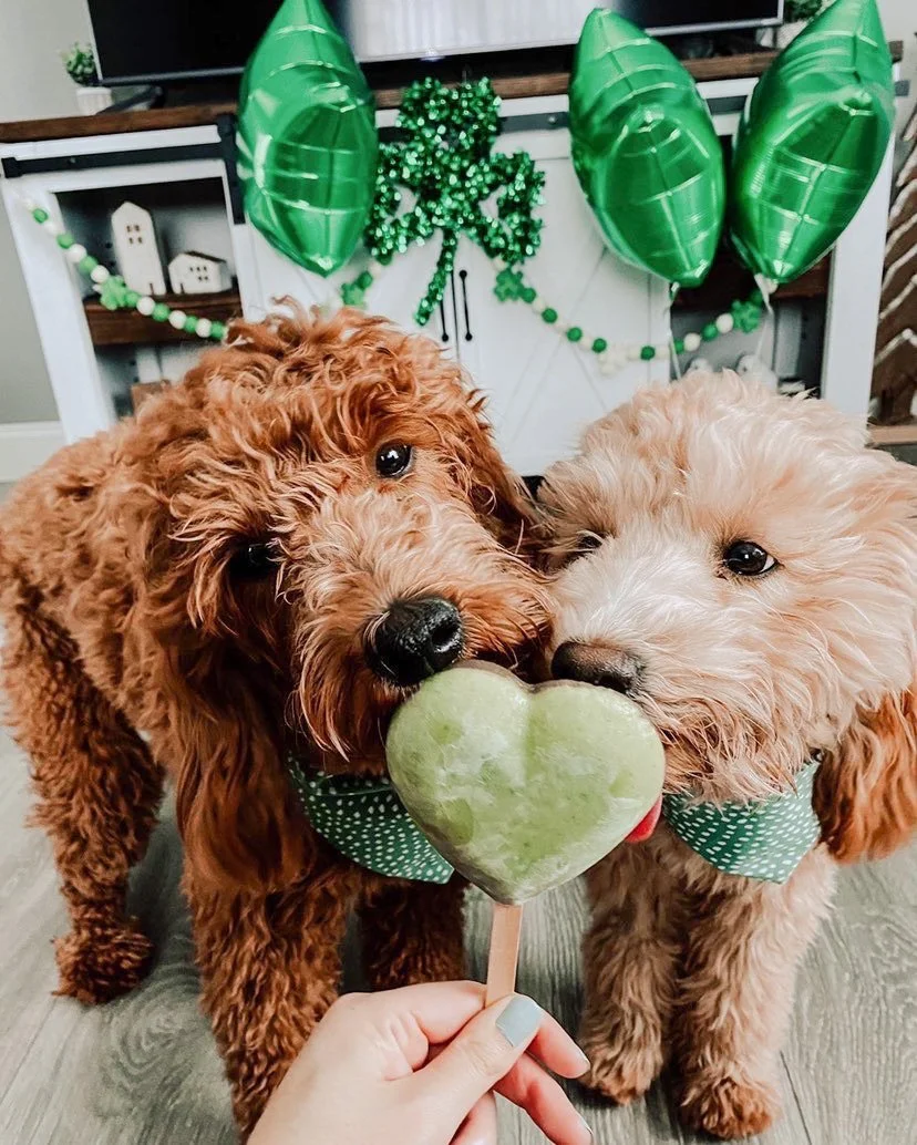 5 Ingredient Green Dog Treat
