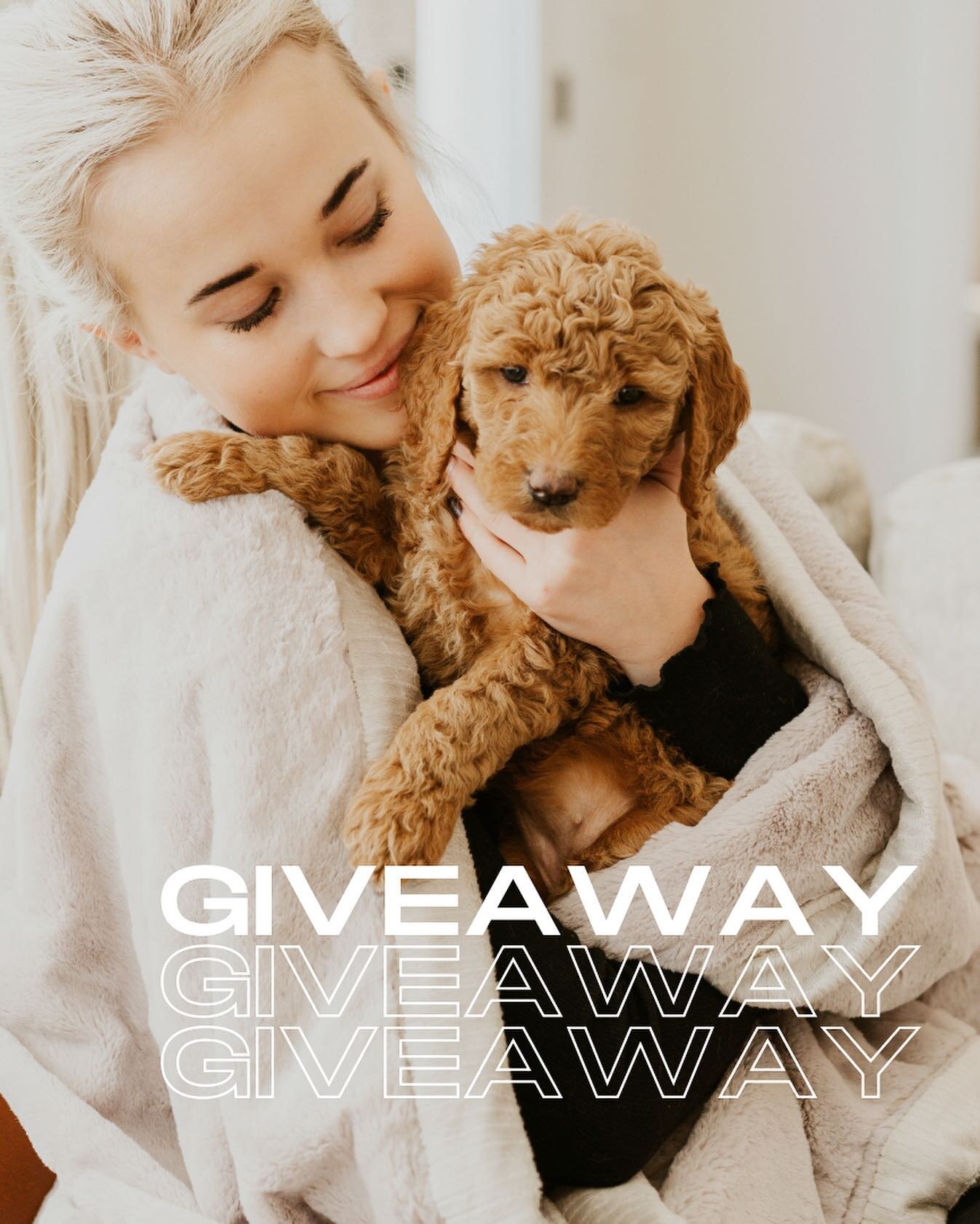 The BIGGEST giveaway we&rsquo;ve EVER done!!! 🐶 🐾 

One lucky winner will receive $500 towards a MLF PUPPY + Saranoni blankets for you to snuggle your new pup 🐶  WHAAAAT! 🫢 We can&rsquo;t believe it either!! 

HOW TO ENTER:
💗 like this post
💗 f