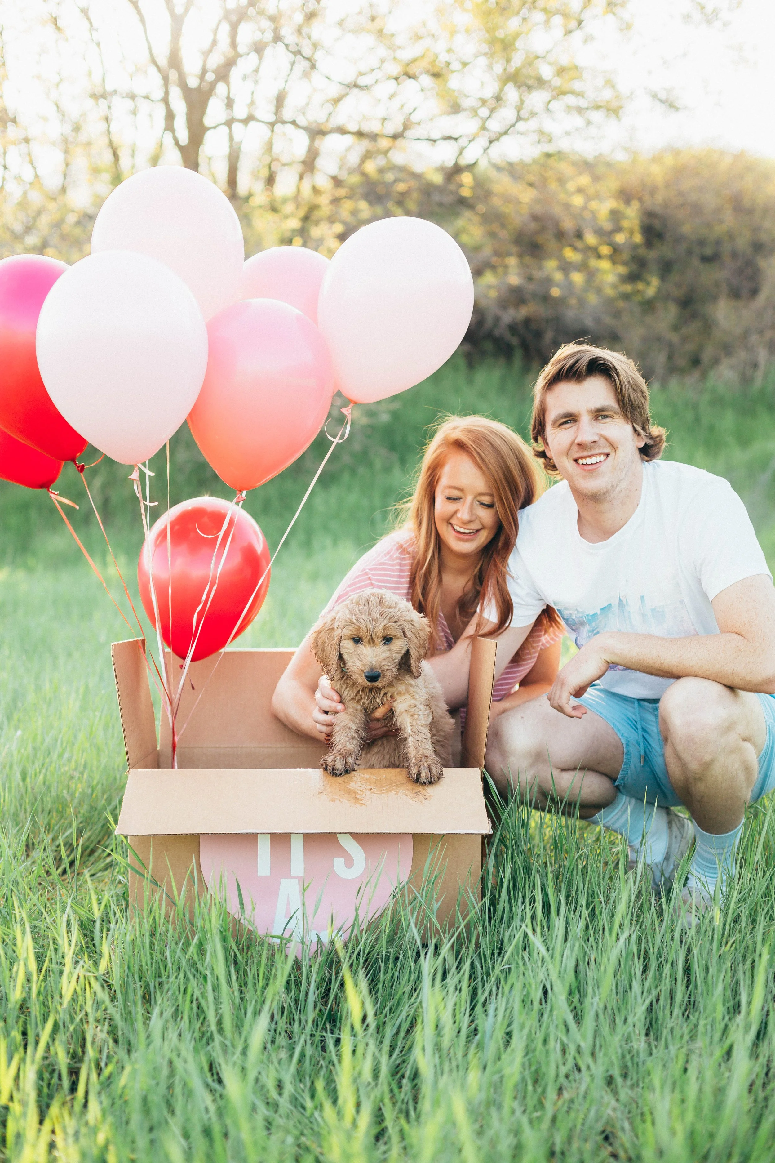 The Ultimate New Puppy Checklist