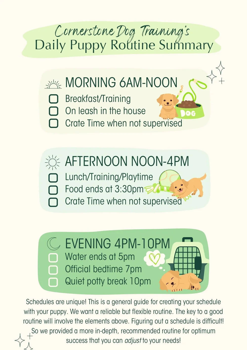 Dog Potty Training Schedule: Expert Tips for Success