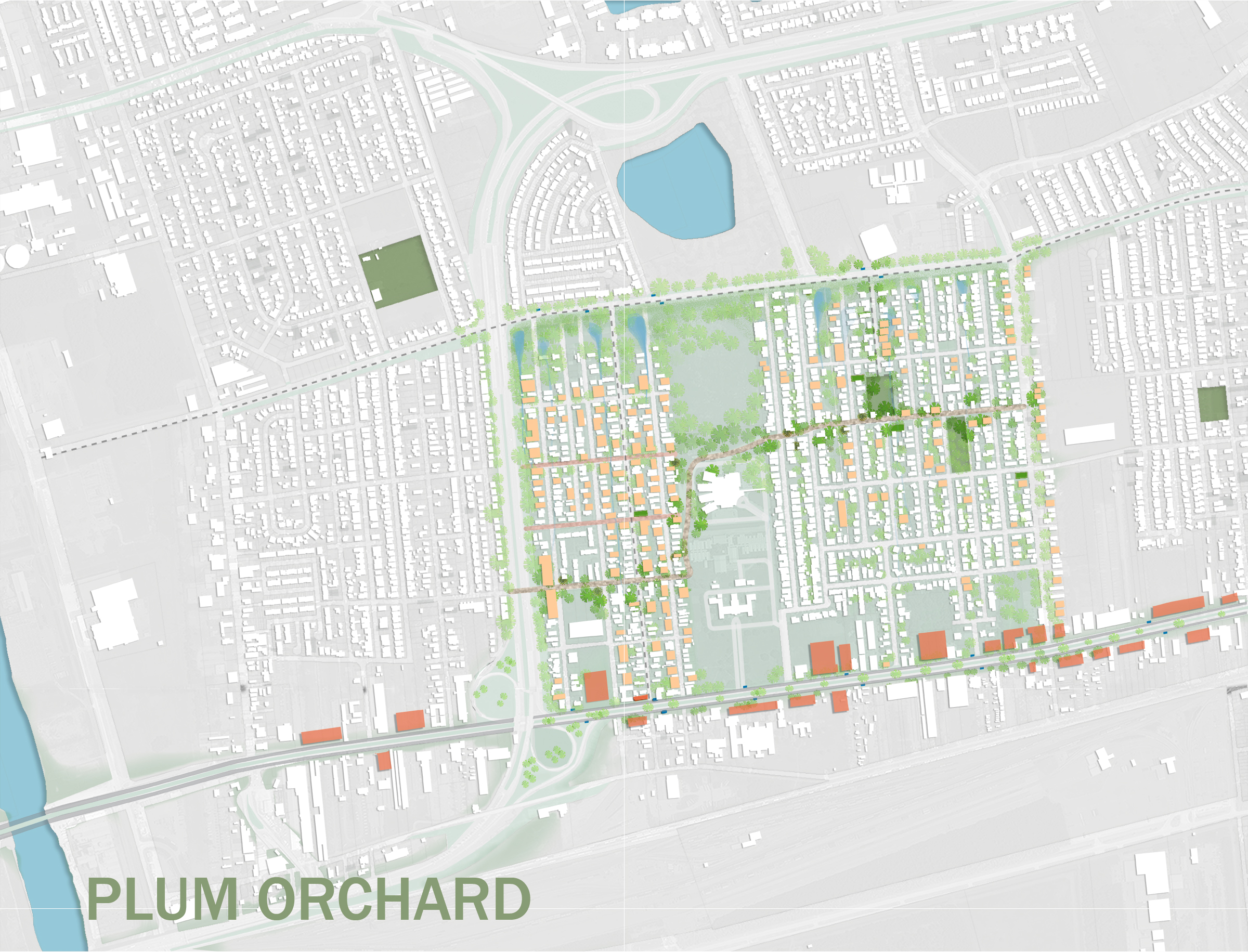 PLUMplum+orchard+at+50-01.jpg