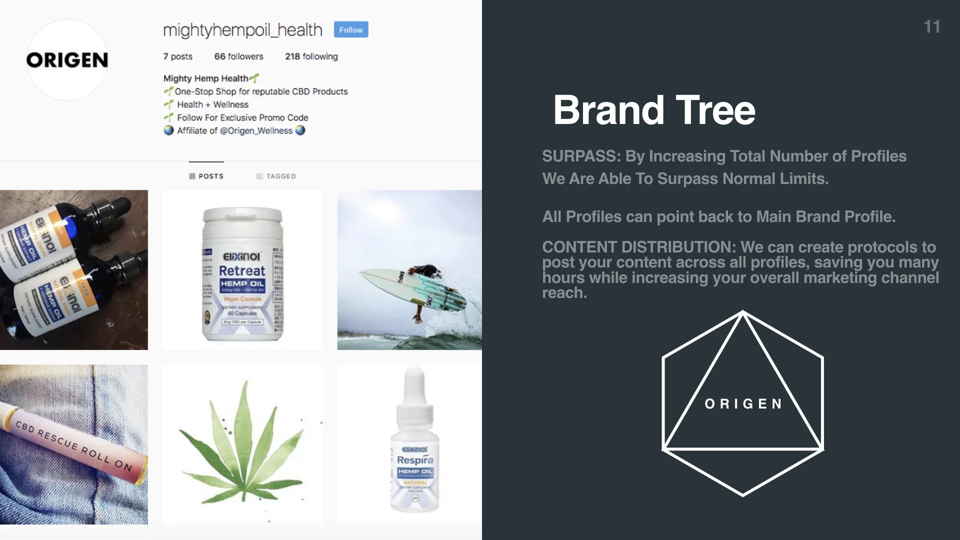 Origen Example Template.011.jpeg