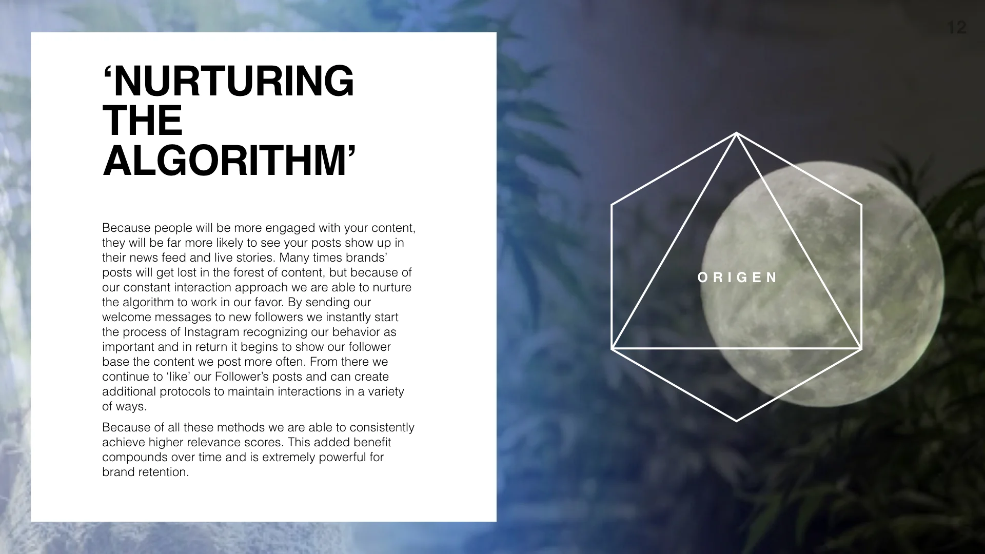 Origen Example Template.012.jpeg