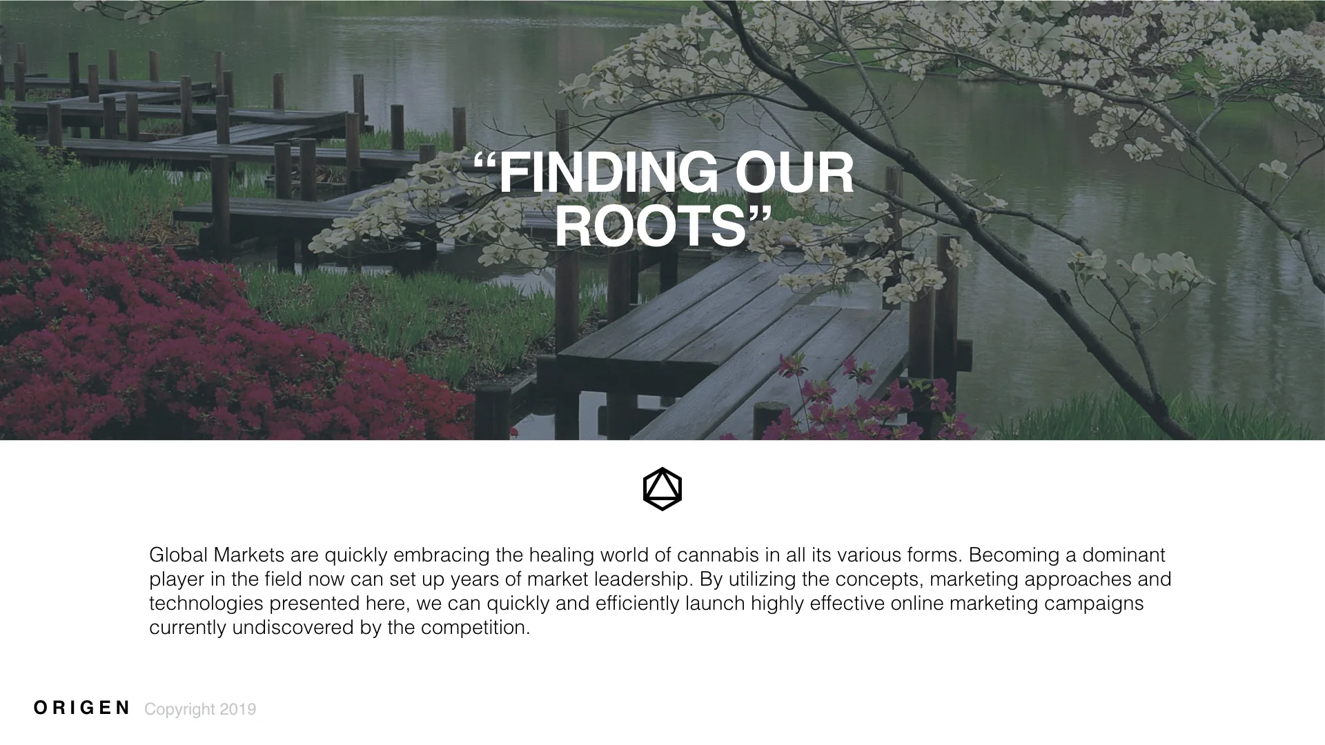 Origen Wellness Website Home.004.jpeg