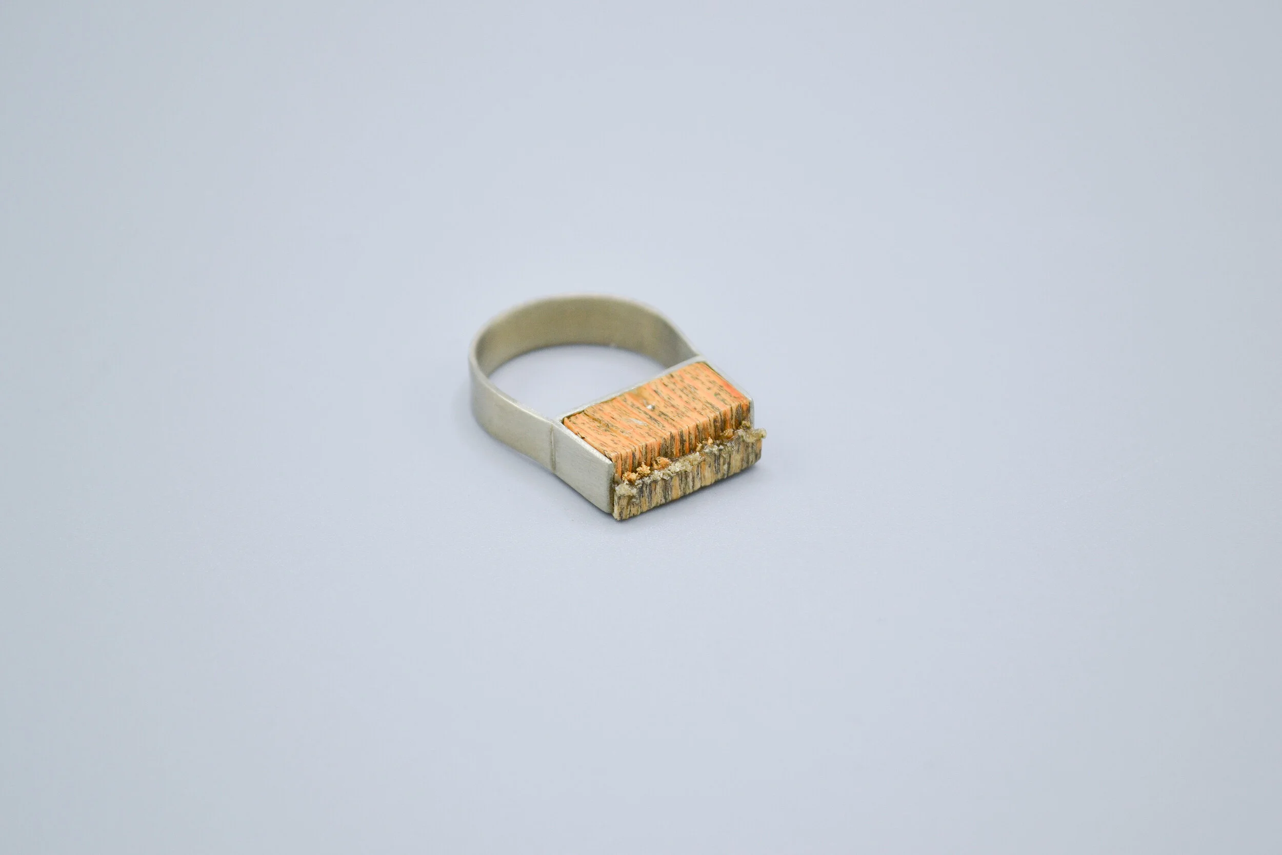 Bookend Ring