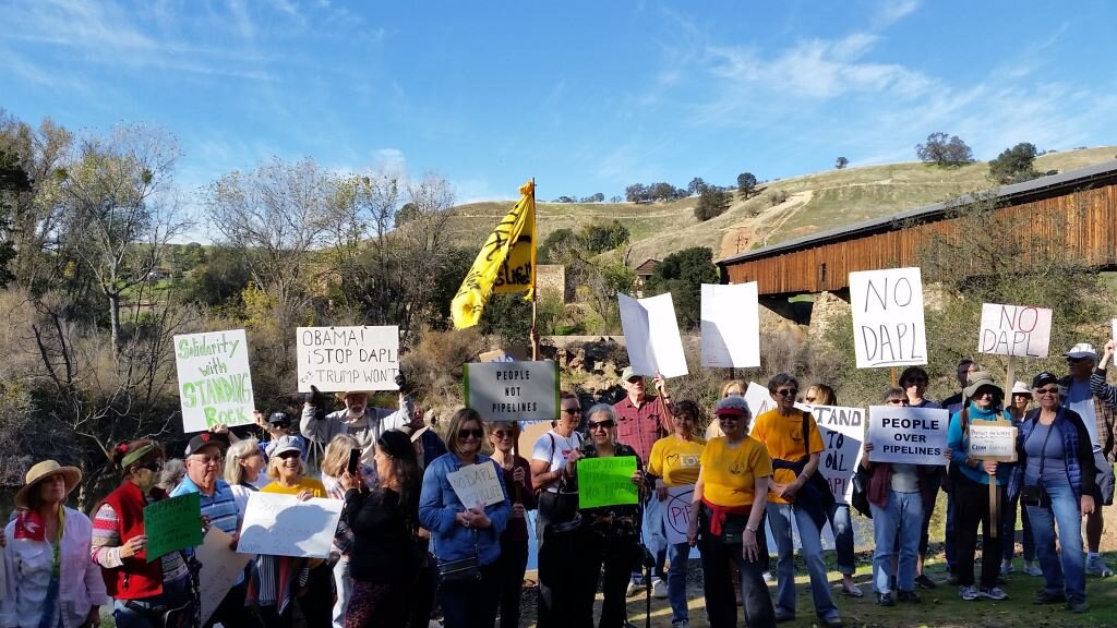 DAPL Demonstration (2).jpg