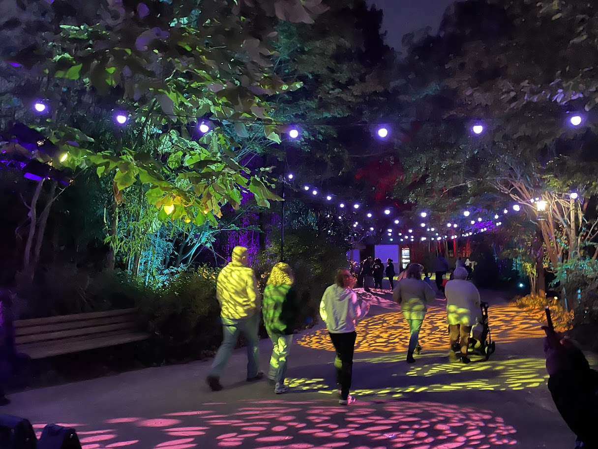People walking along a pathway illuminated by colorful, decorative lights and projected patterns at night, with trees and shrubbery on each side.